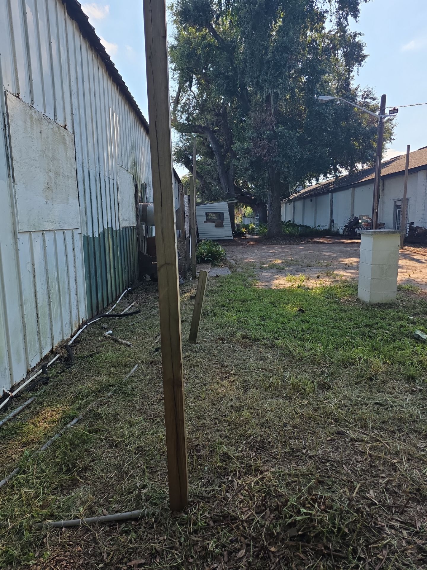 Commercial Property | Clean Up & Tree Removal by ProGreen Services
