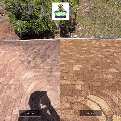 Residential Shingle Roof Cleaning for Sorrento Property