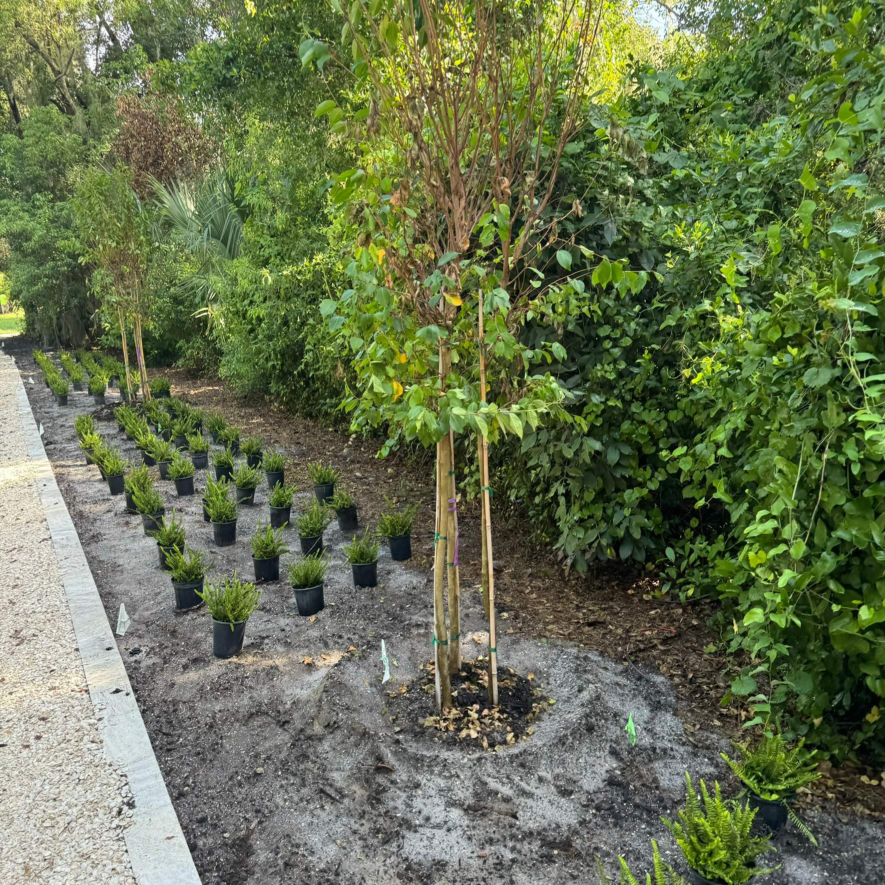 Landscape Install | Residence by ProGreen Services