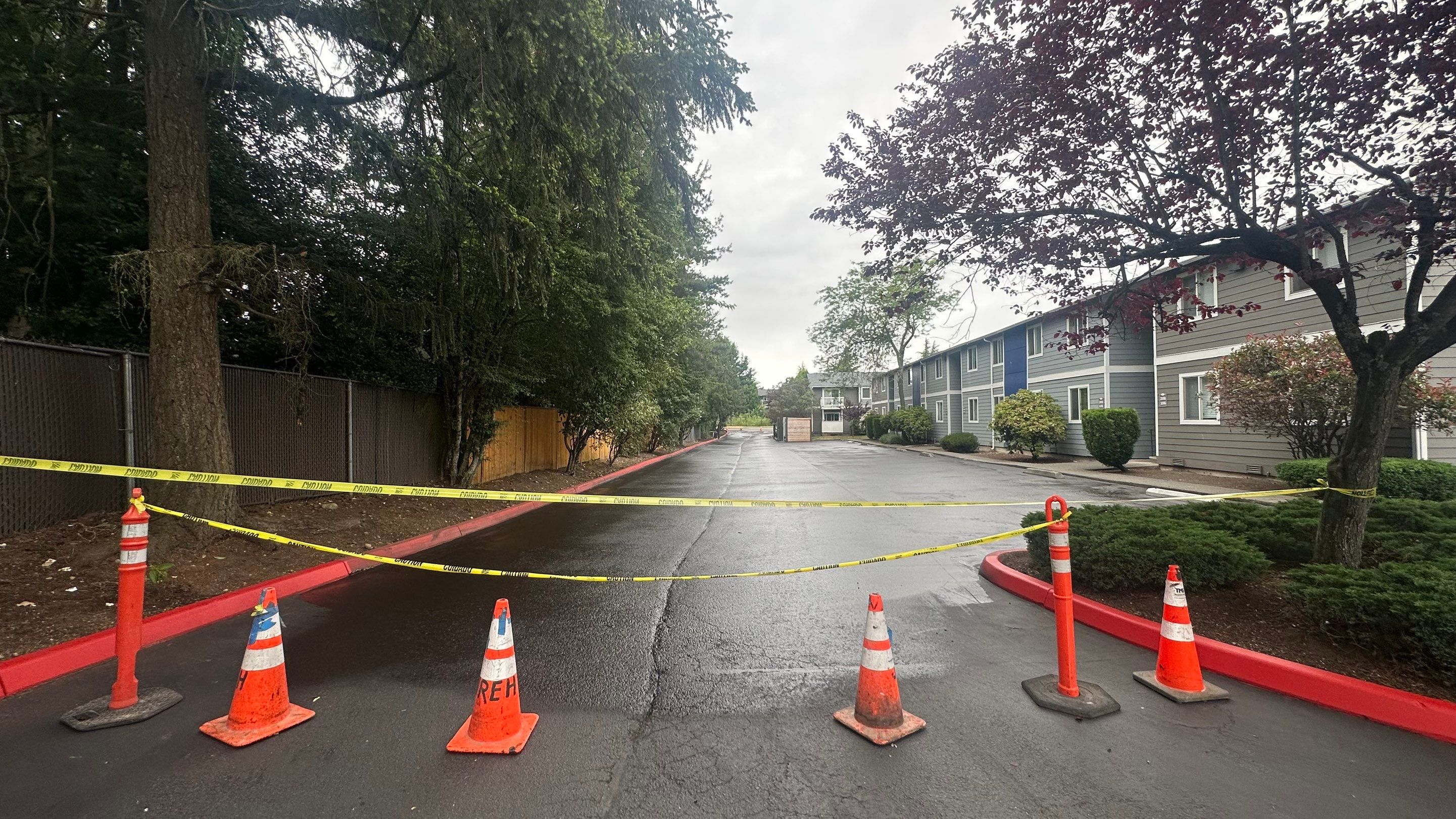 Chaz | Driveway Repave, Asphalt Project  by Jireh Asphalt & Concrete Inc 