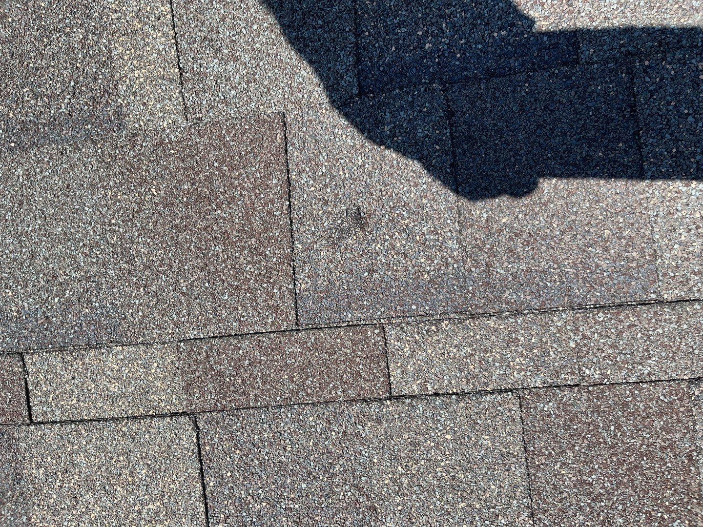 Faulty construction by Constructive Project Management