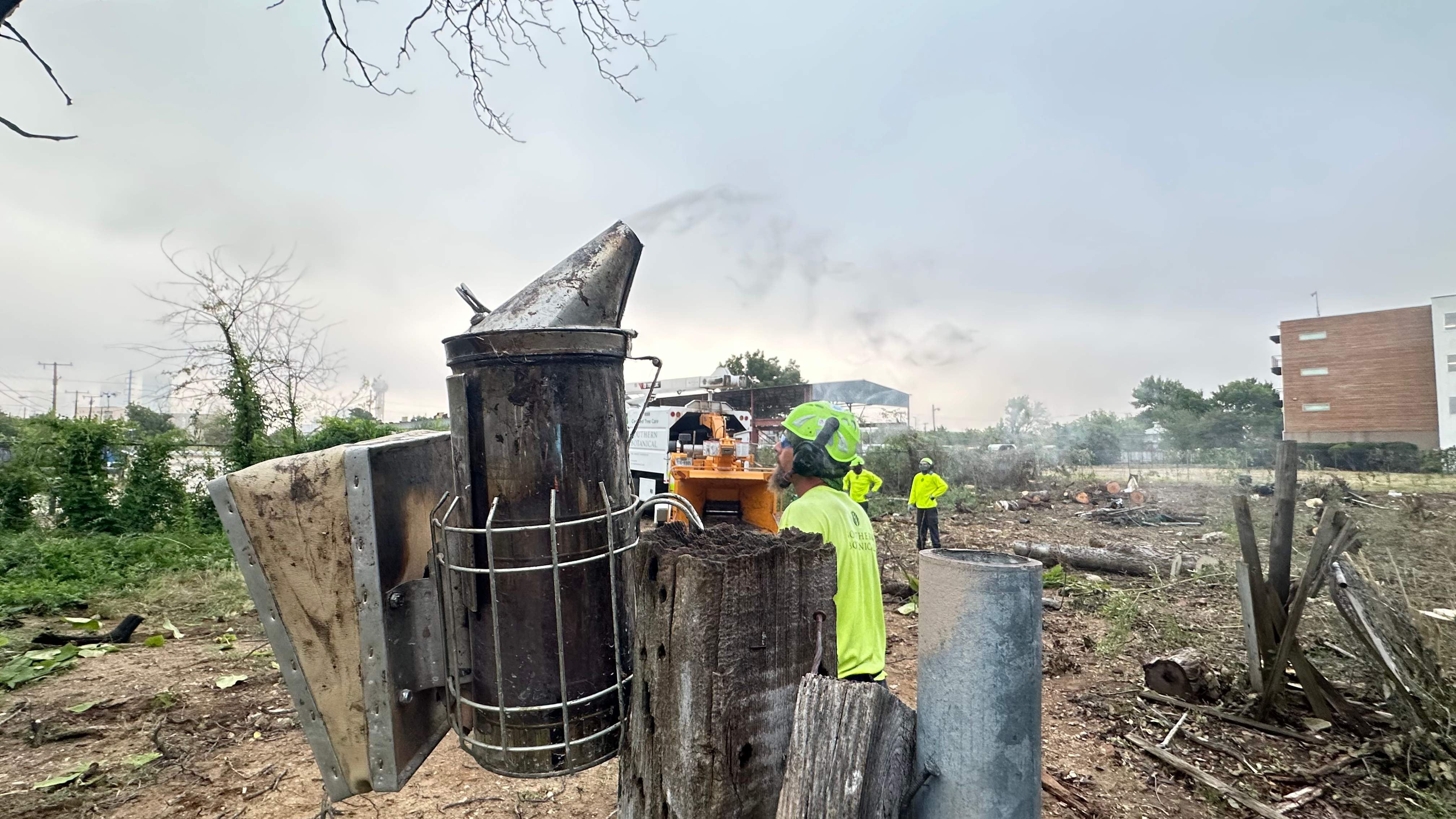 City Tree Company  by Rockwall Honey Bee Company