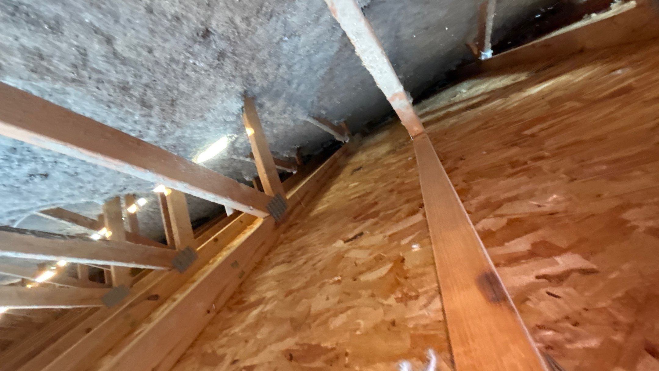 Roof Replacement using Owens Corning Tru Definitions by 180 Contractors