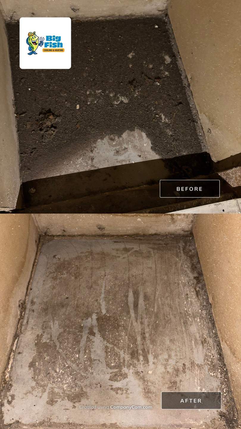 Duct Cleaning - DEAD RODENTS! by Big Fish Cooling & Heating