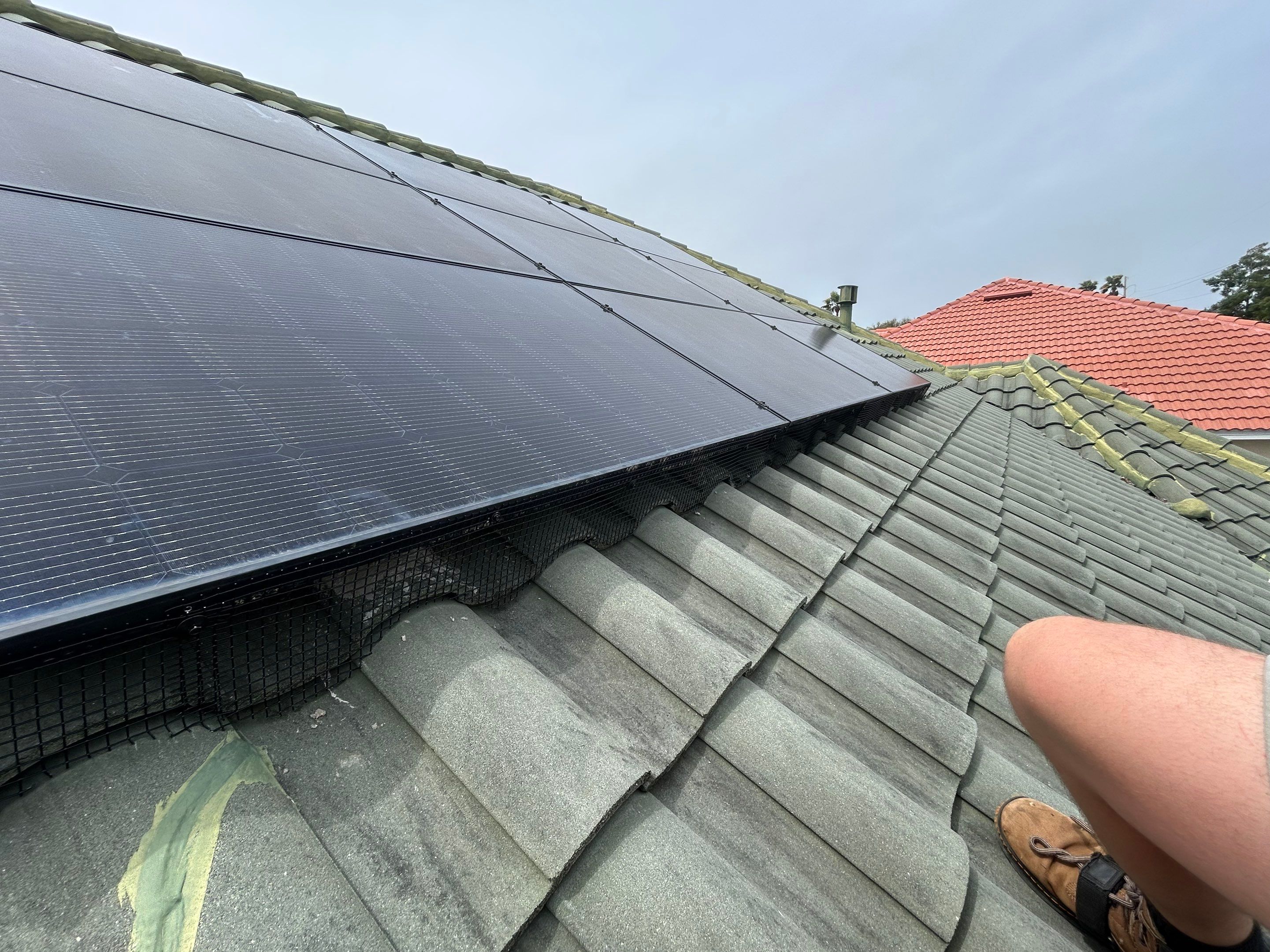 Solar Squirrel Defense System Installation by Gulf Solar Services