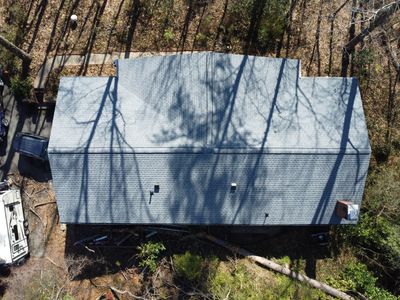 Tree Damage Restoration using GAF Timberline HDZ