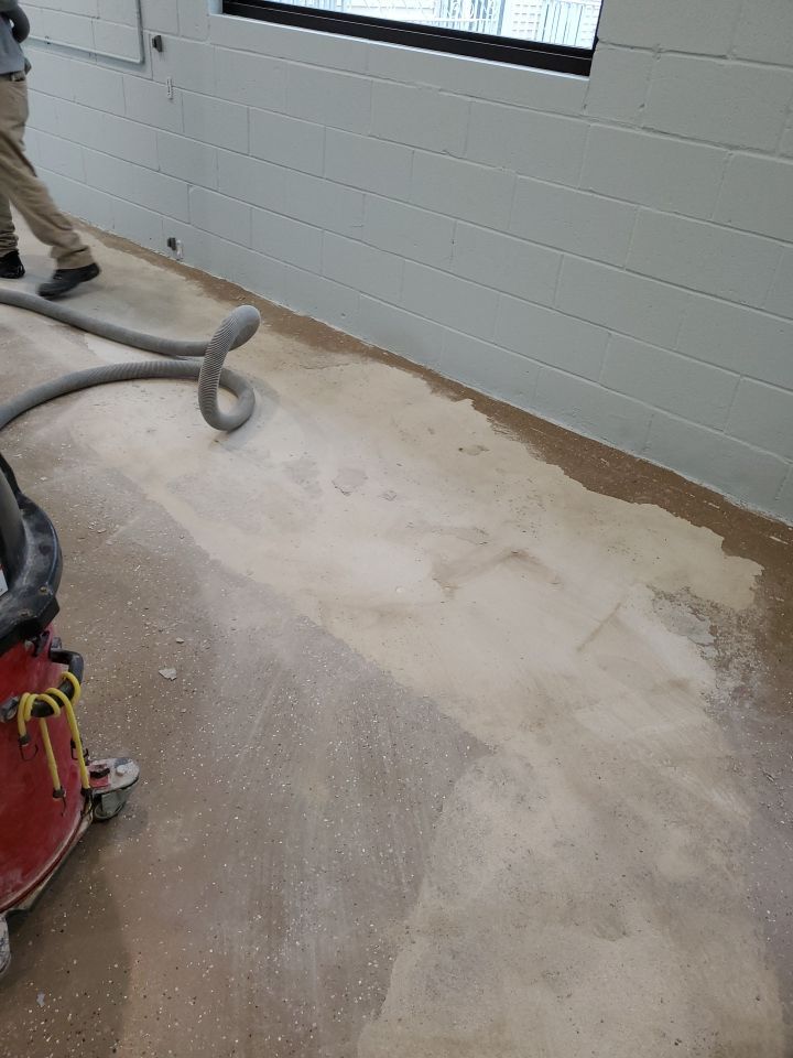 Kennel Floor Coating and Wall Painting using Penntek by Spectrum Painting, LLC