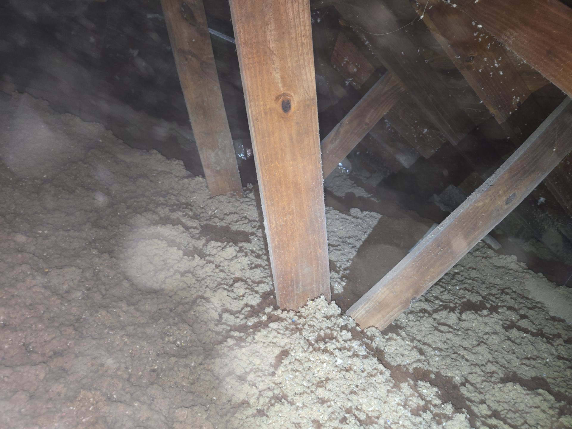 Project in Norfolk by Patriot Crawl Space Repairs