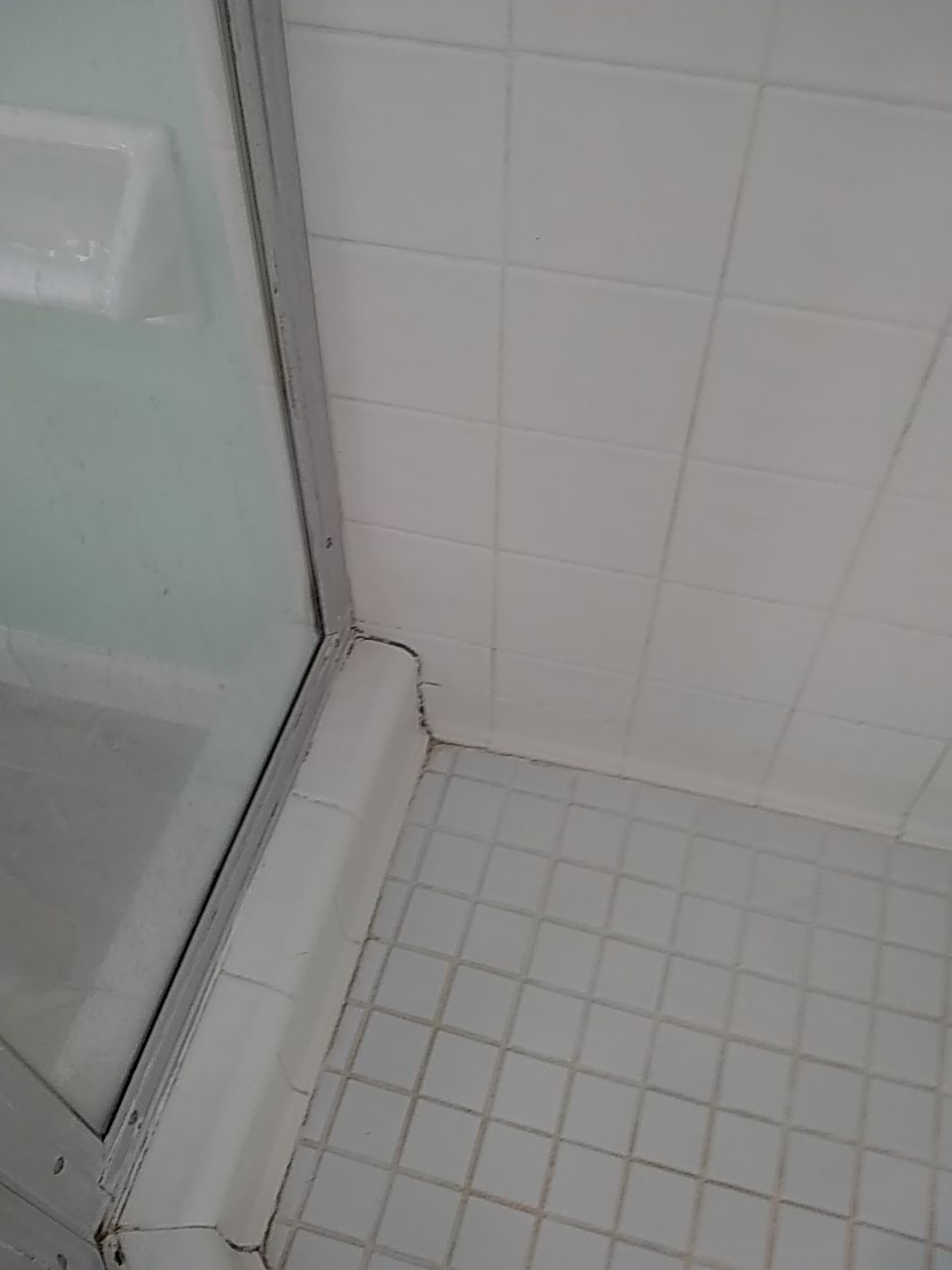 Neo-angle shower by The Shower Company