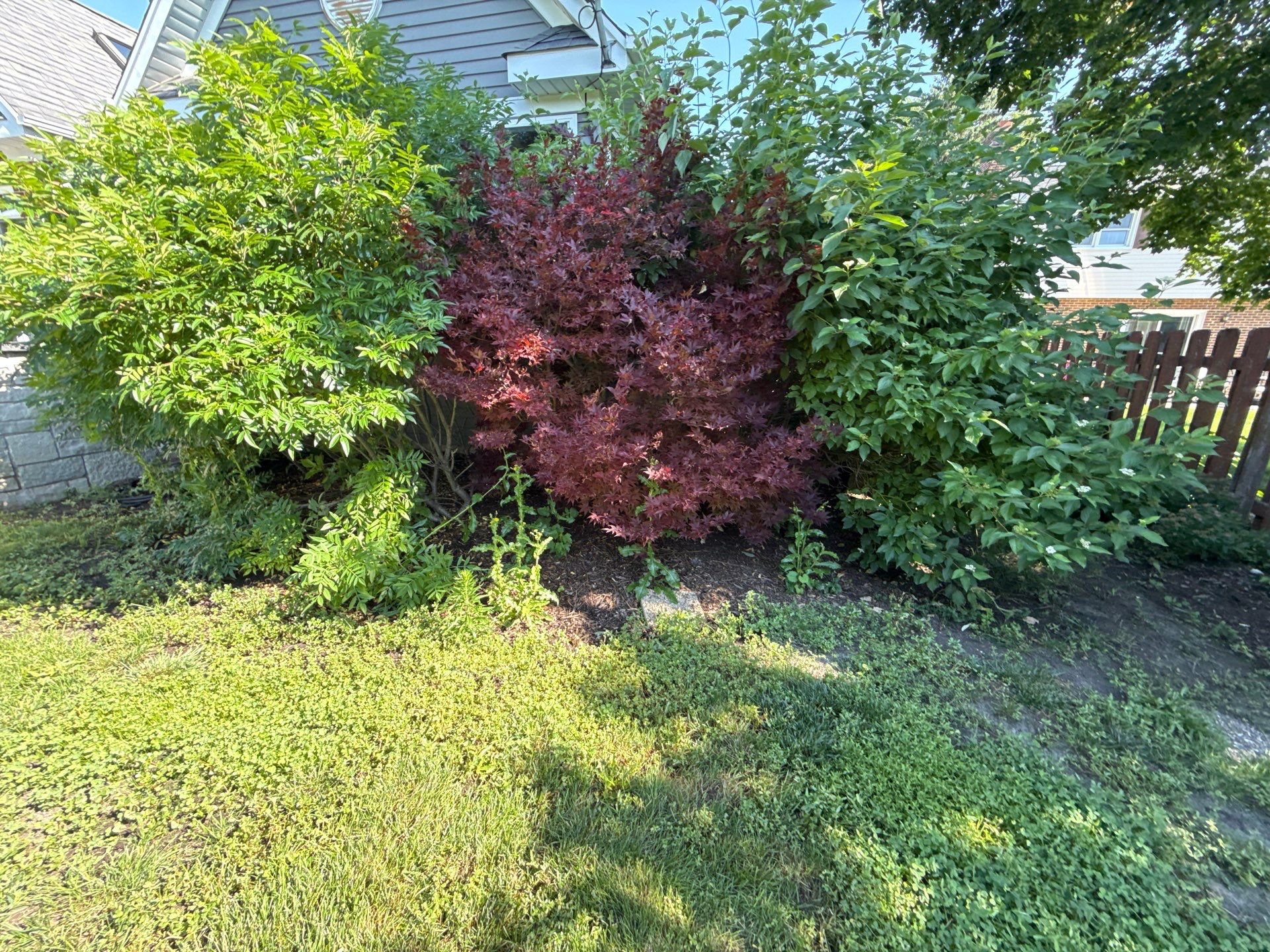 Rob M. - Arlington Heights, IL by A&N 