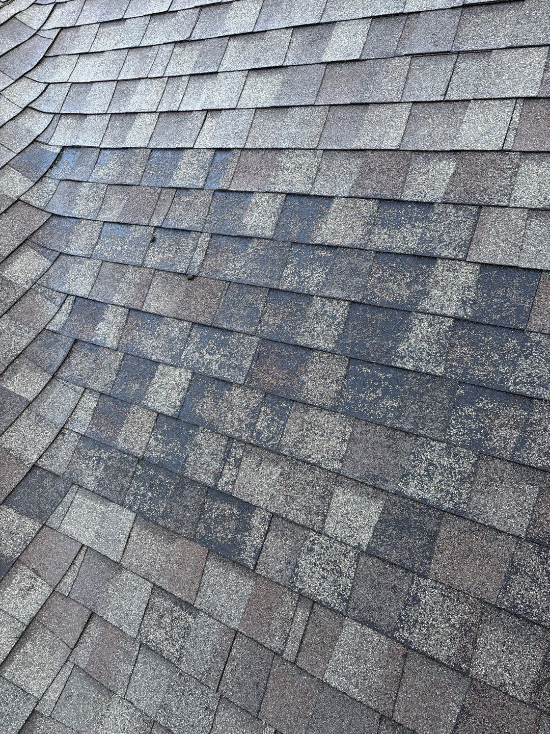 Residential Reroof Shingle - Canadian Driftwood by Top Notch Roofing Inc