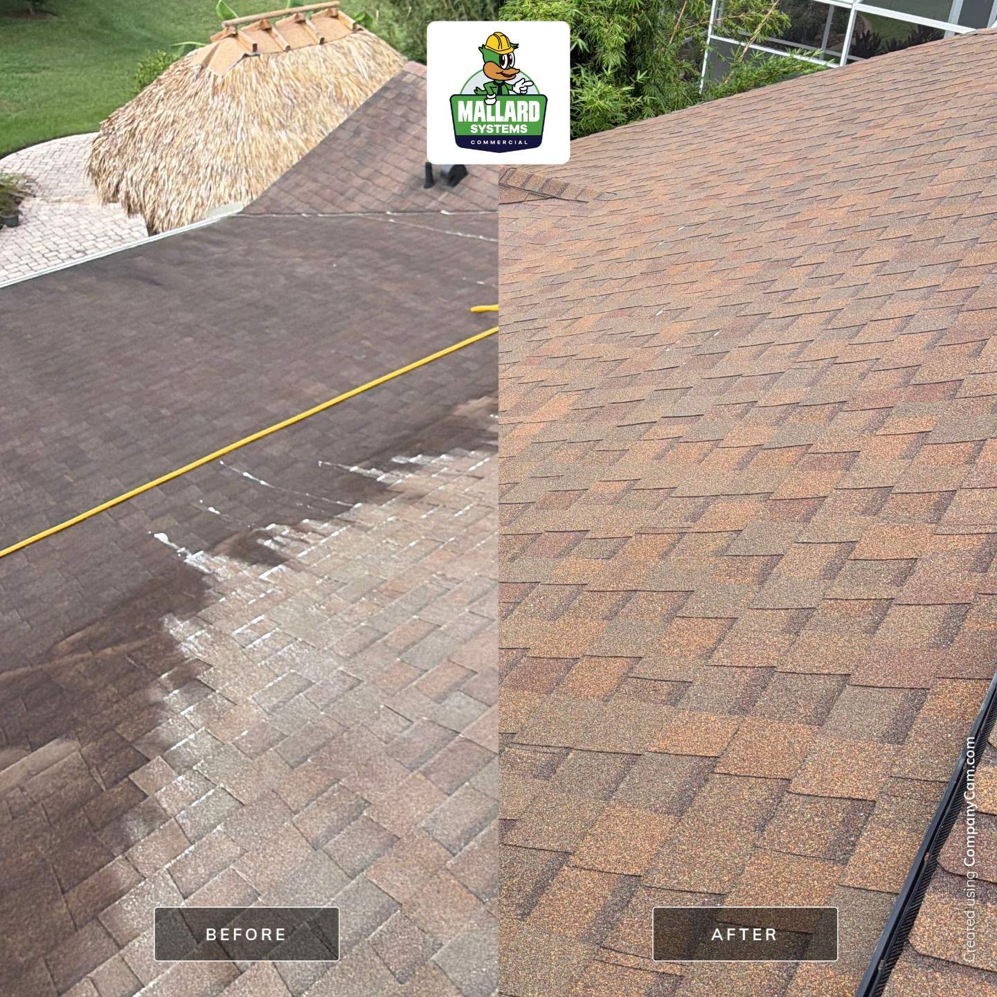 Shingle Roof Cleaning Service in Casselberry by Mallard Systems