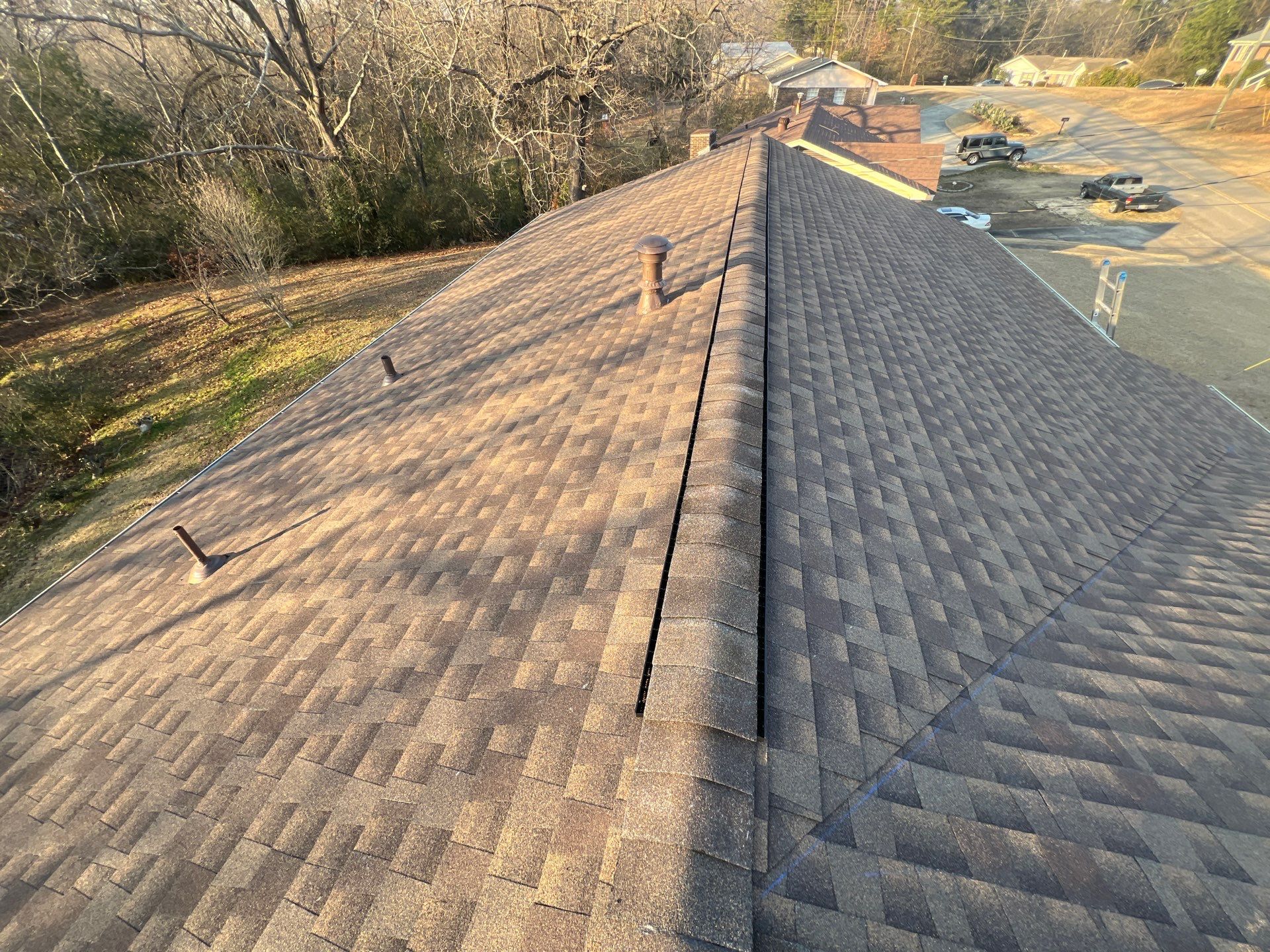 Roof Replacement (Barkwood) and Tree Removal in Birmingham  by The Roofing Dudes