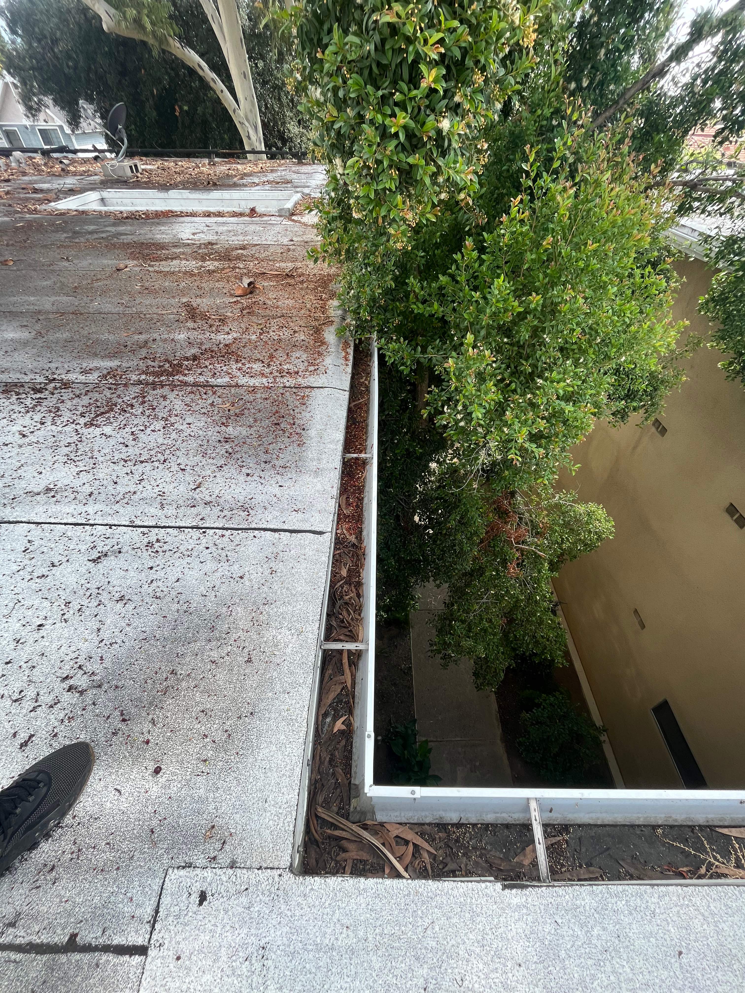 HOA Gutter Cleaning in Pasadena by Palm Coast Solar Cleaning