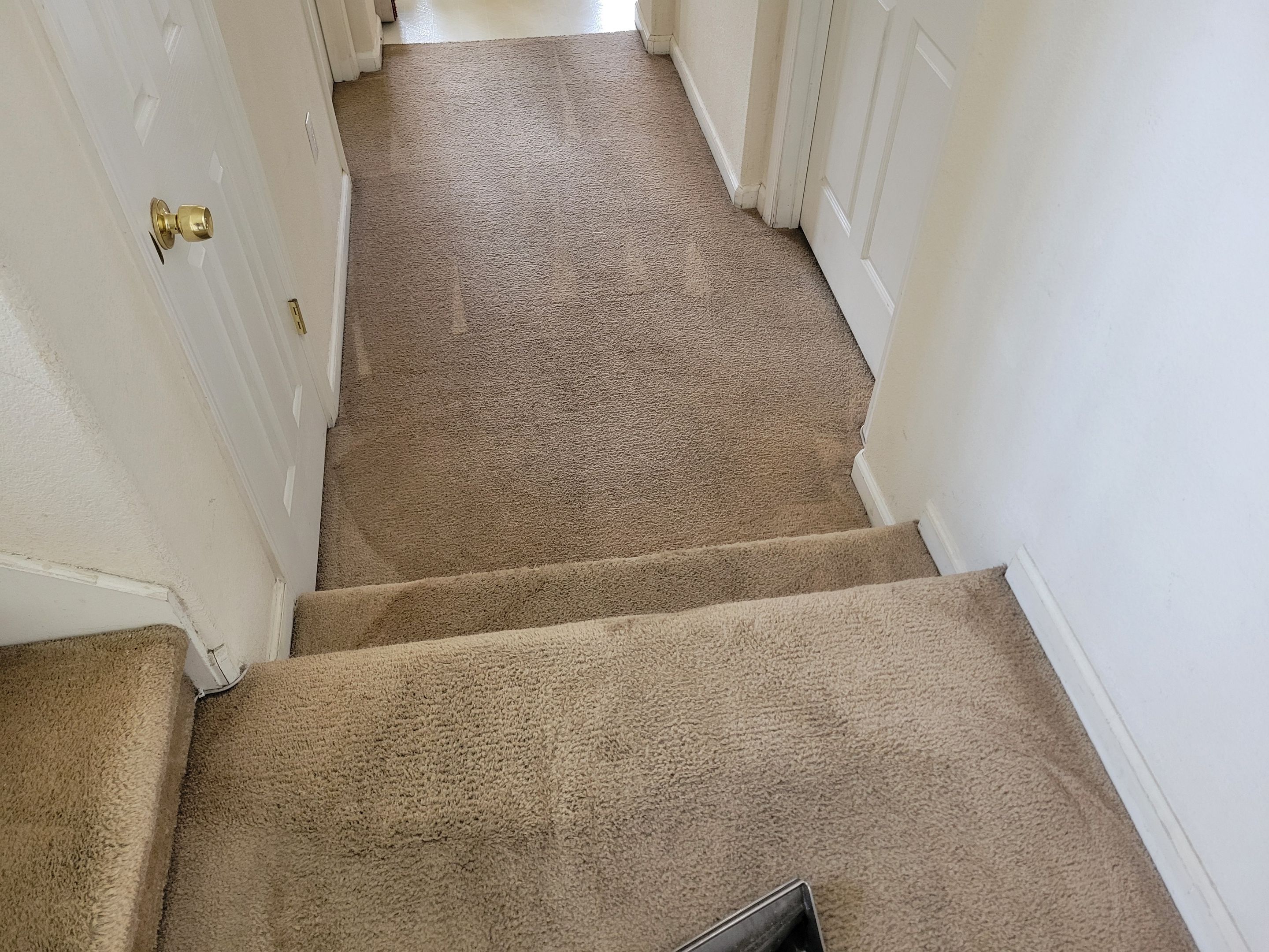 Cleaning Heavily Soiled Stairs and Entryway by Ardent Carpet Restore LLC