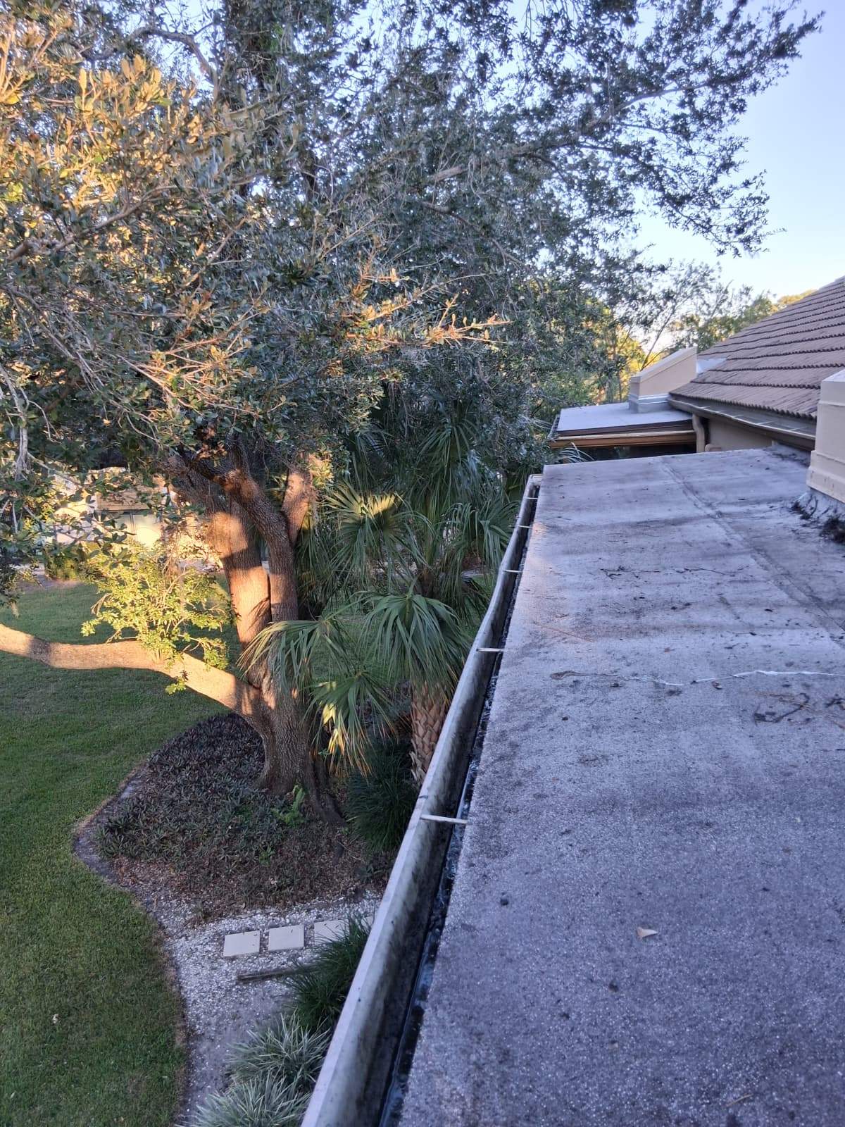 Gutter Cleaning Service in Sarasota FL by Gutter Professors