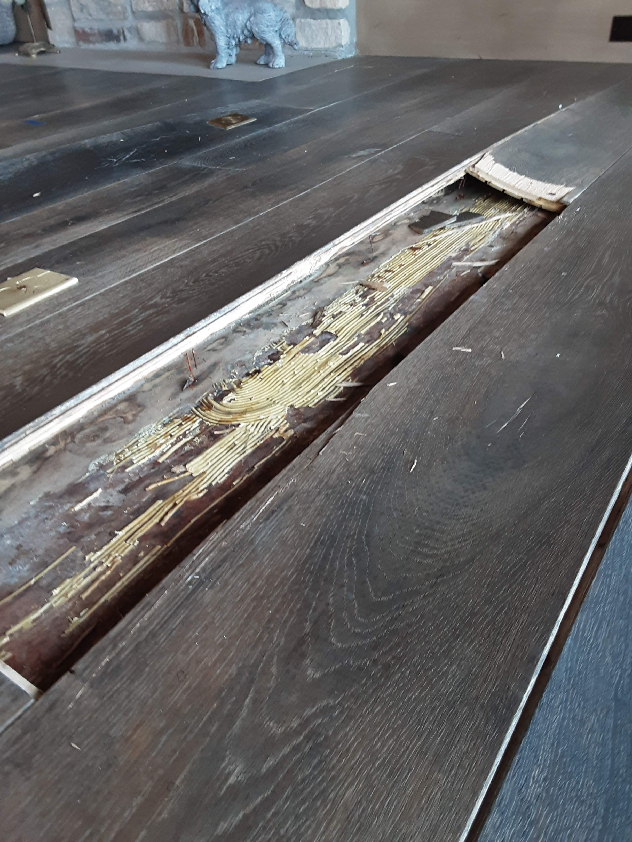 Interior water damage inspection by ASAP Roofing & Exteriors