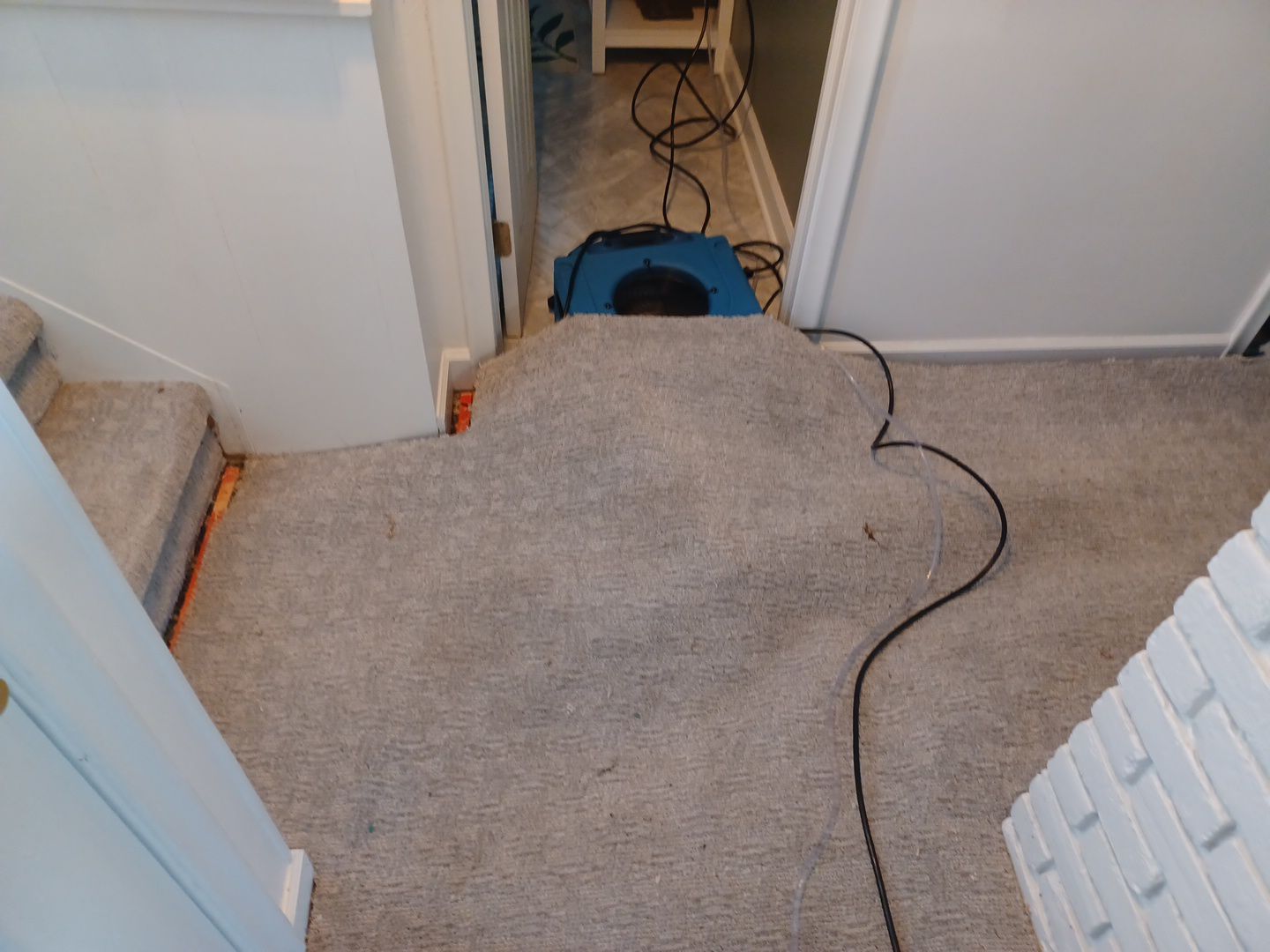 Project in Royal Oak by EzDry Water Mitigation & Property Restoration