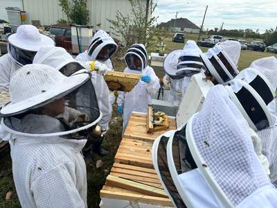 Rockwall Honey Bee Company HQ