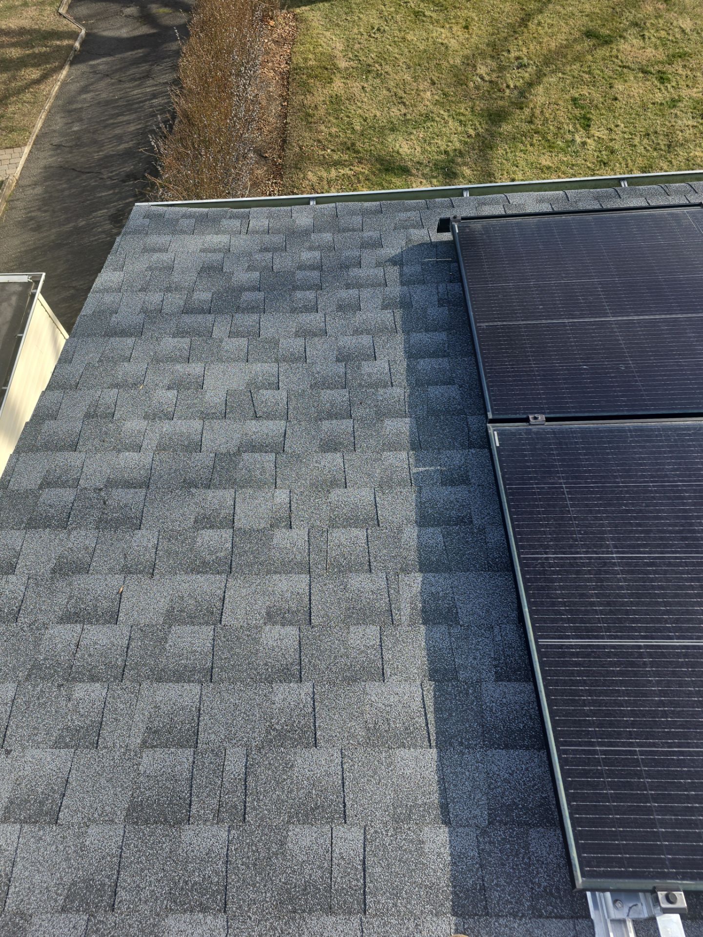 Silver Birch Shingles by Reimagine Roofing