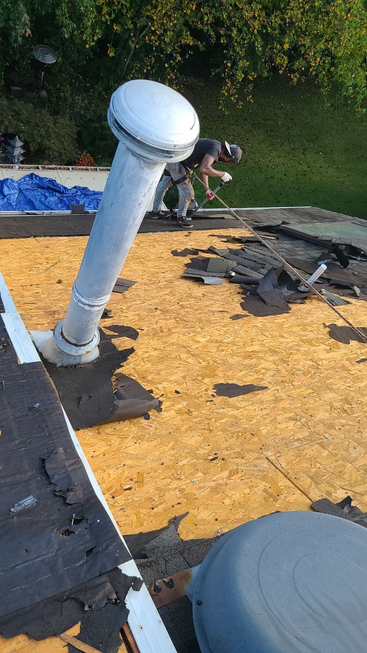 Dumfries: CertainTeed Landmark Pro Designer Shingles in Max Def Weathered Wood by RM Banning, Inc.