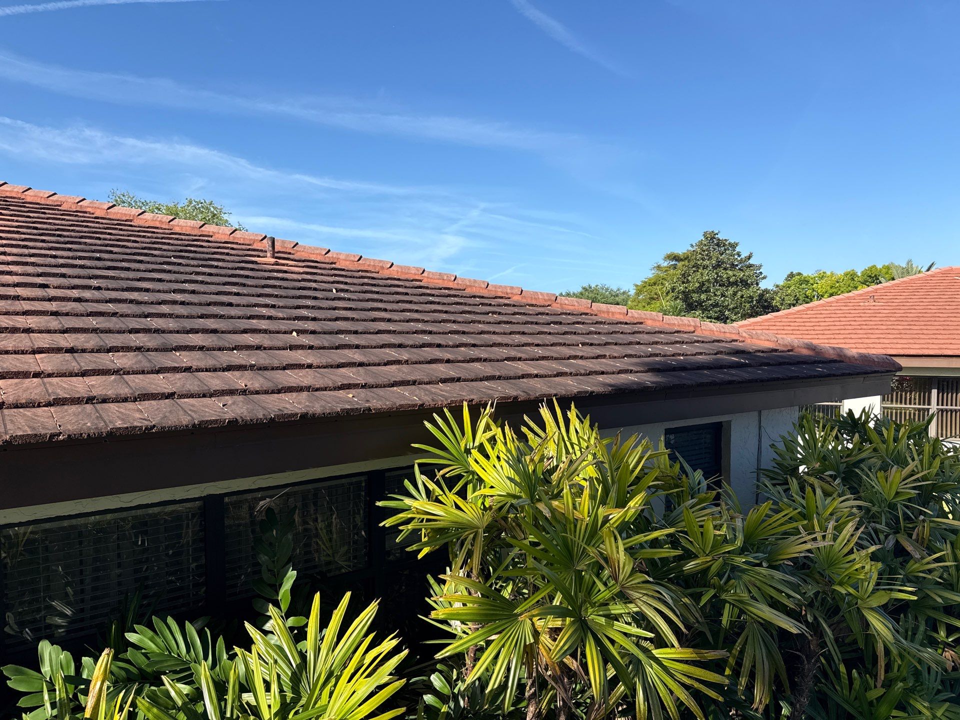 Tile Roof Cleaning in Vivienda at Bradenton, FL | No Roof Walking Method by Sunshine AquaWash