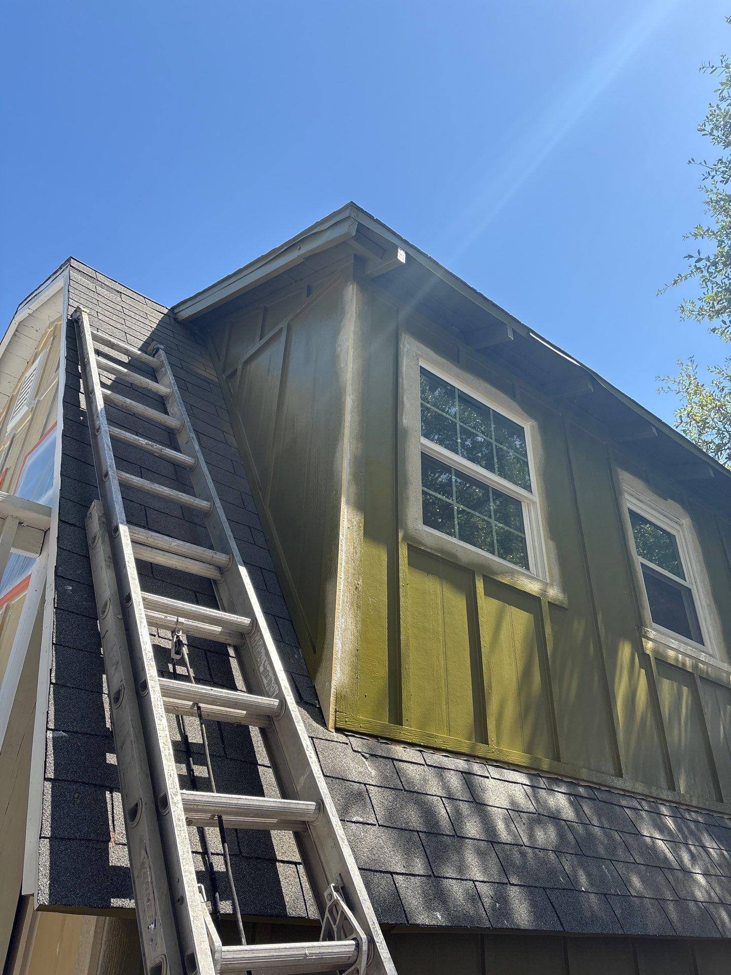 Olive you a Lot! by Bayfront Roofing and Construction