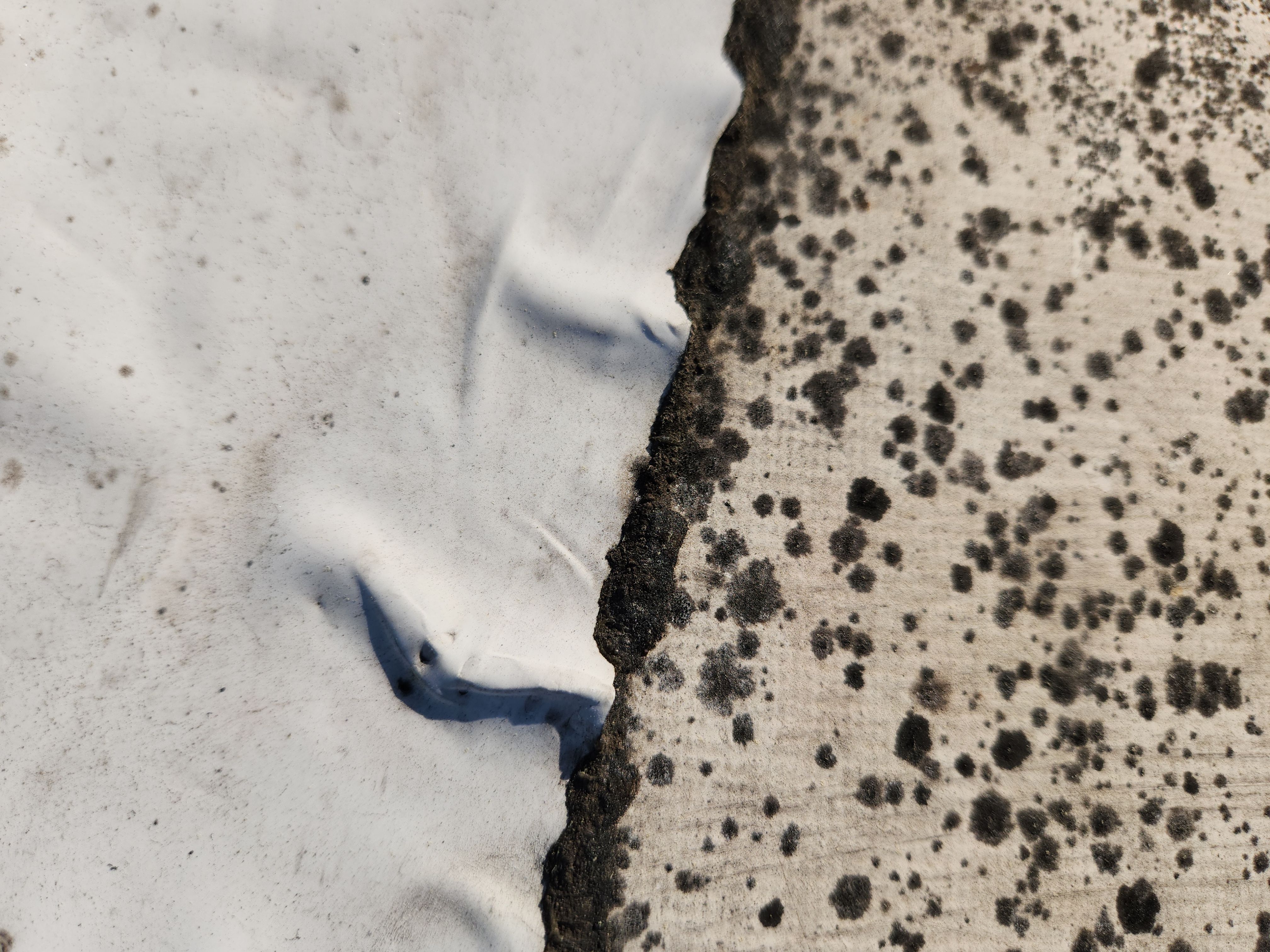 Reflective Silicone Roof Coating and Maintenance in Palm Beach Gardens by Aastro Roofing