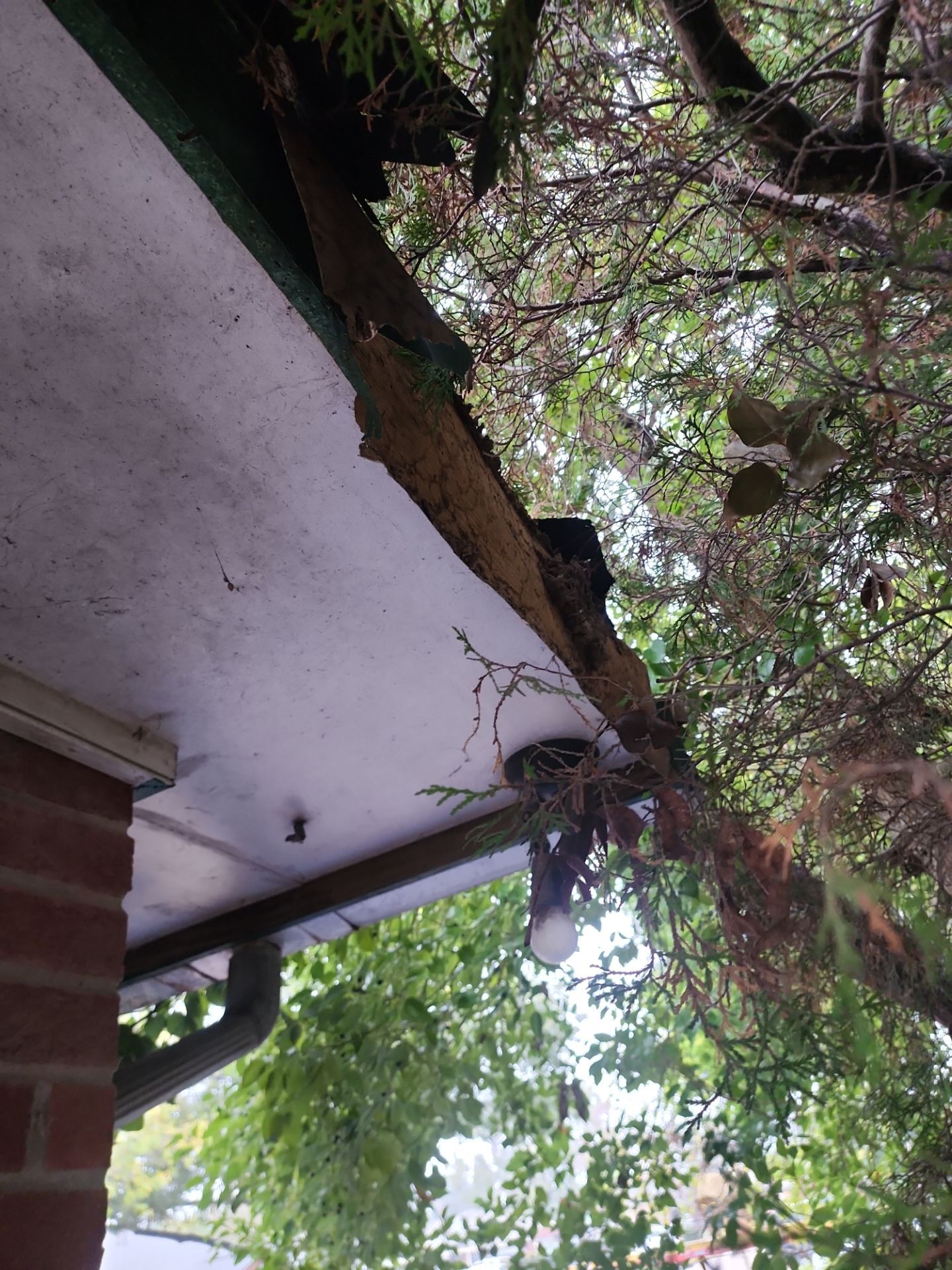 Roof Repair Houston by Roof Repair Services LLC