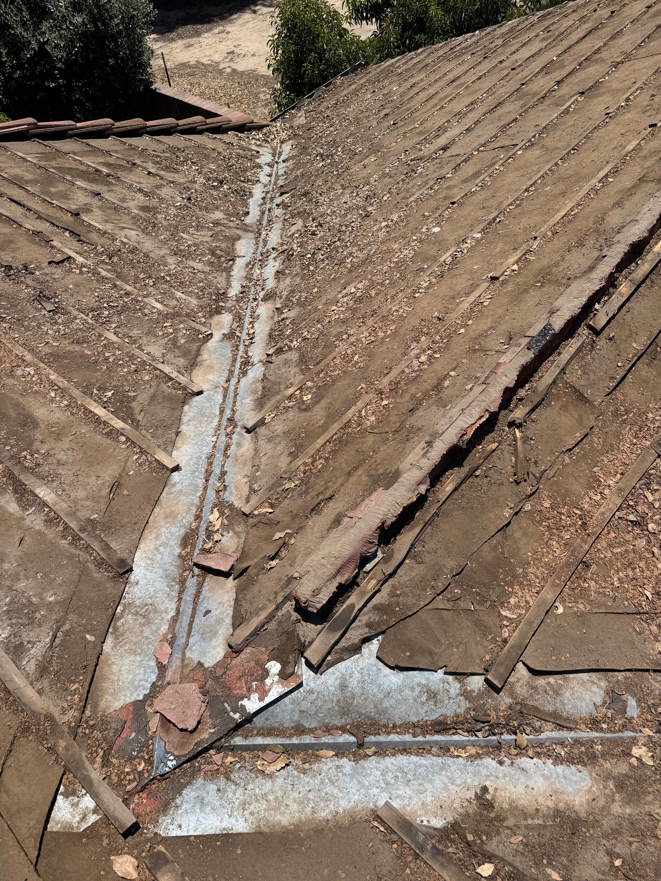 Presidential shingle roof by Straight Edge Roofing Inc