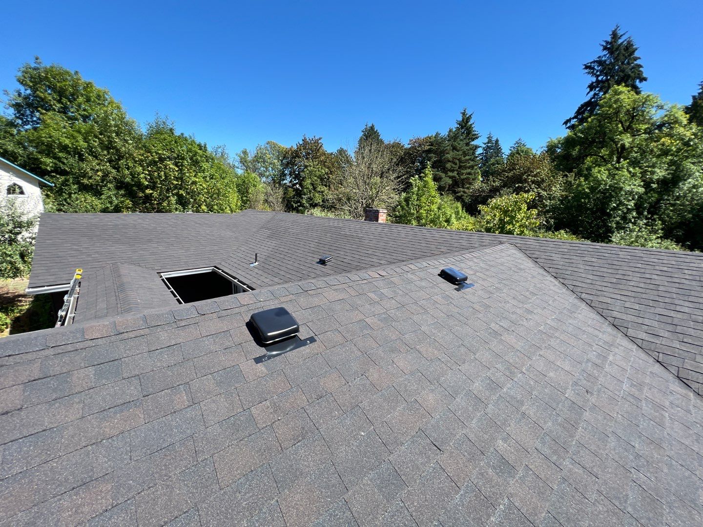 Black Sable Shingles by Reimagine Roofing