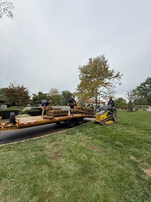 Project in Westminster