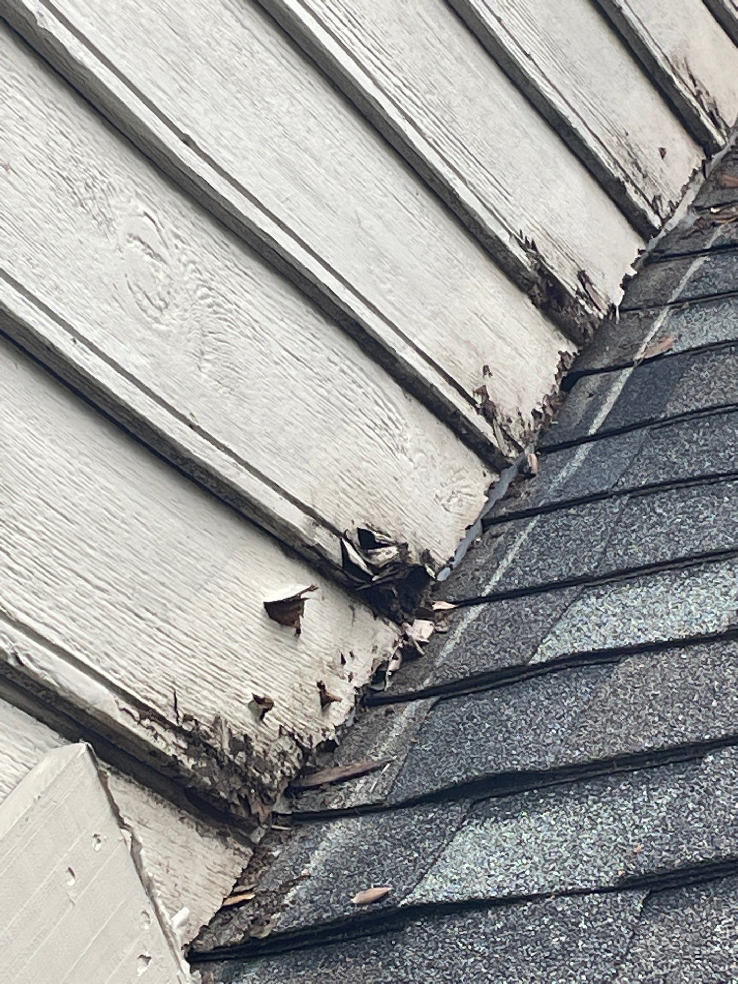 Roof Repair Spring by Roof Repair Company