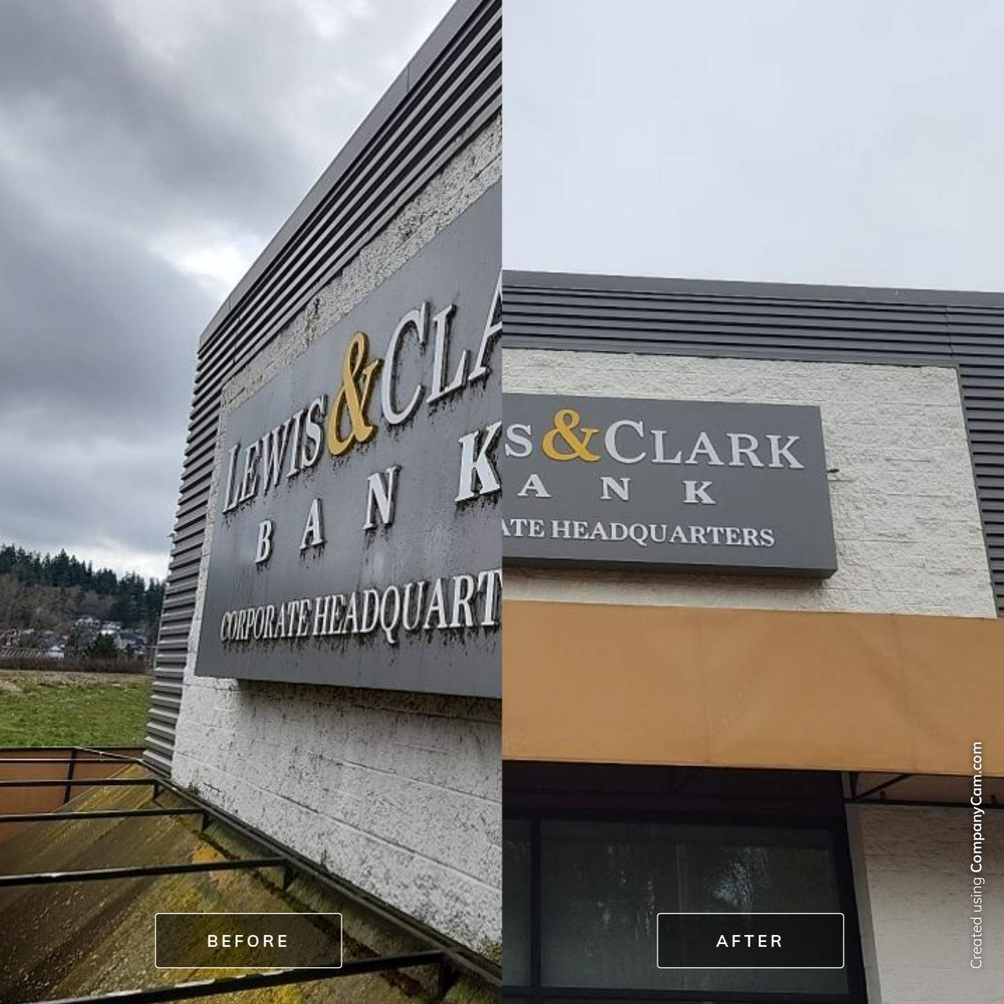Soft Wash using Soft wash solution by Willamette Outdoor Wash LLC
