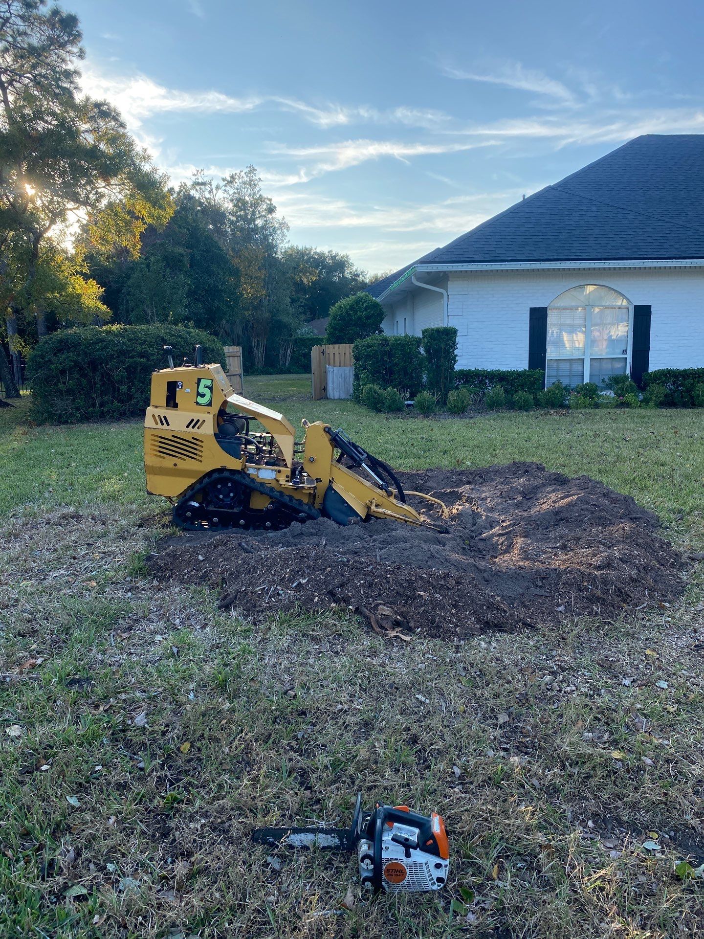Deerwood Resident | Tree Removal & Shrub Shaping by ProGreen Services