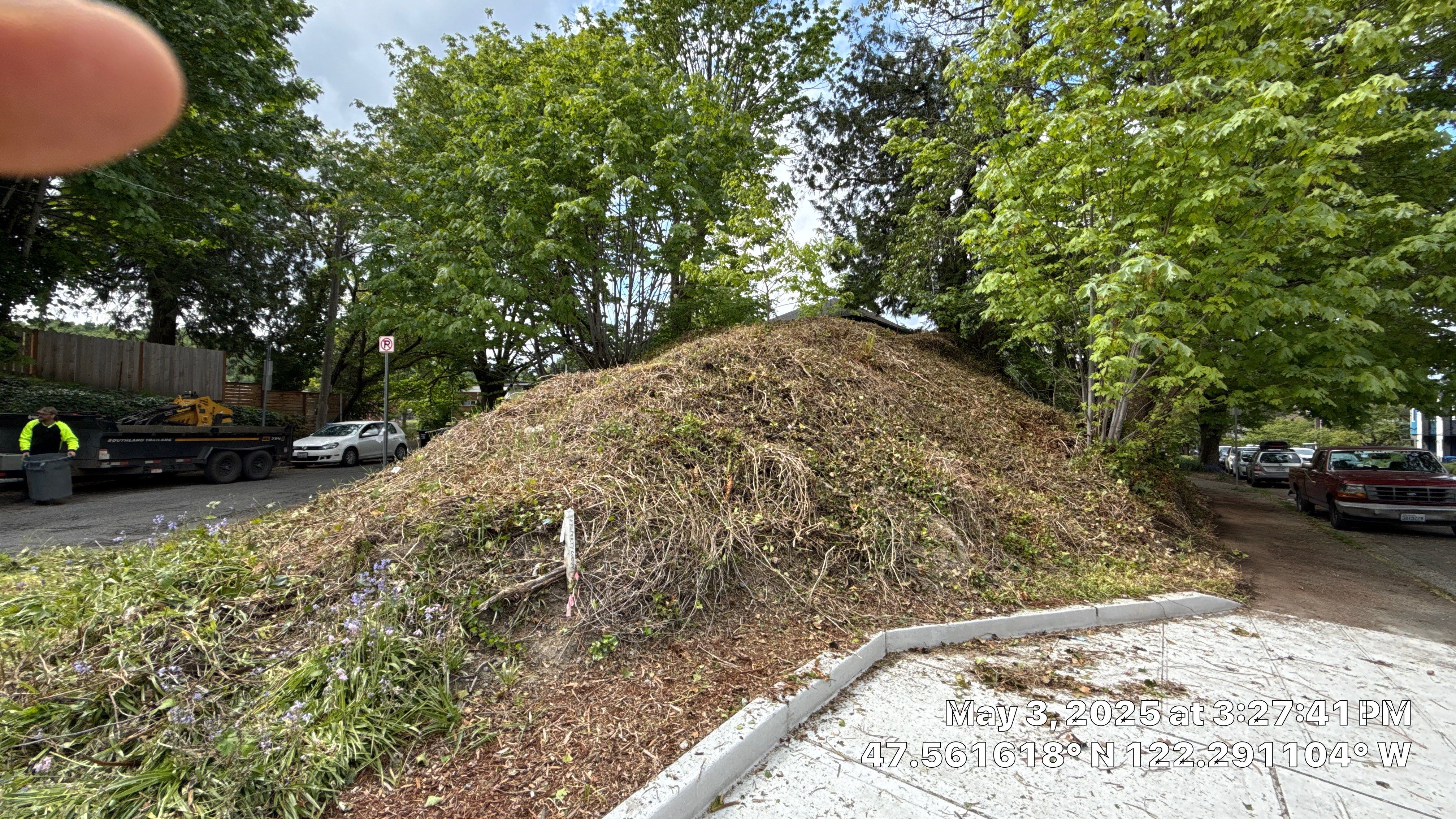 ✅ Seattle Tree Clearance & Invasive Species Removal by Sound Tree Care LLC