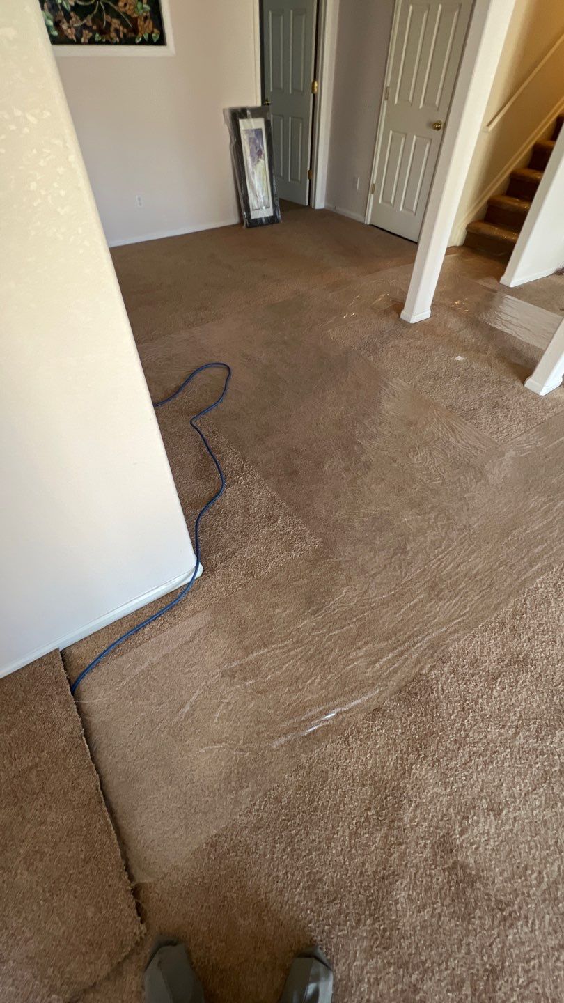 Mold Damage by Accountable Home Services