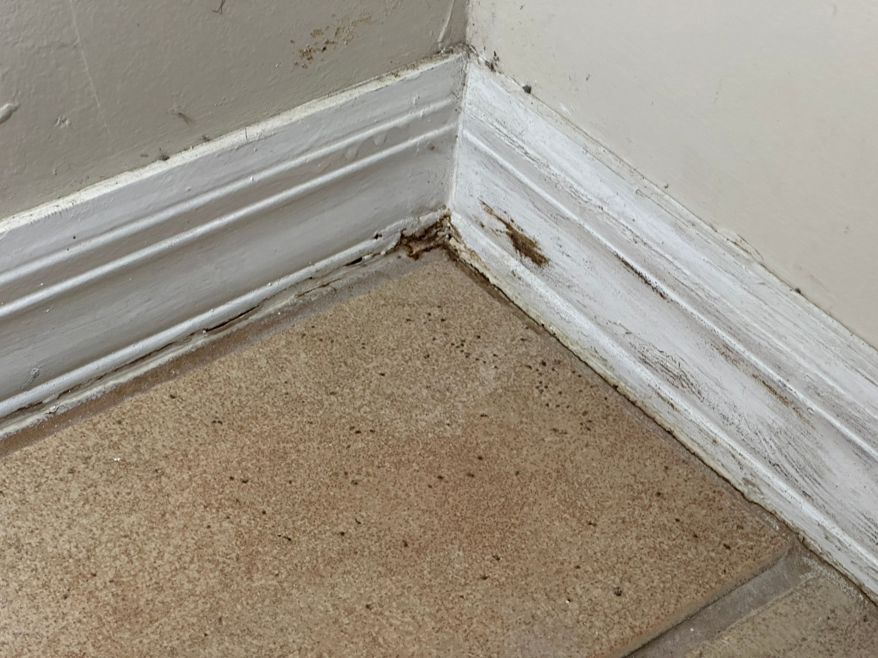 Water Damage Claim in Pembroke Pines by FLAPA & KeyStone