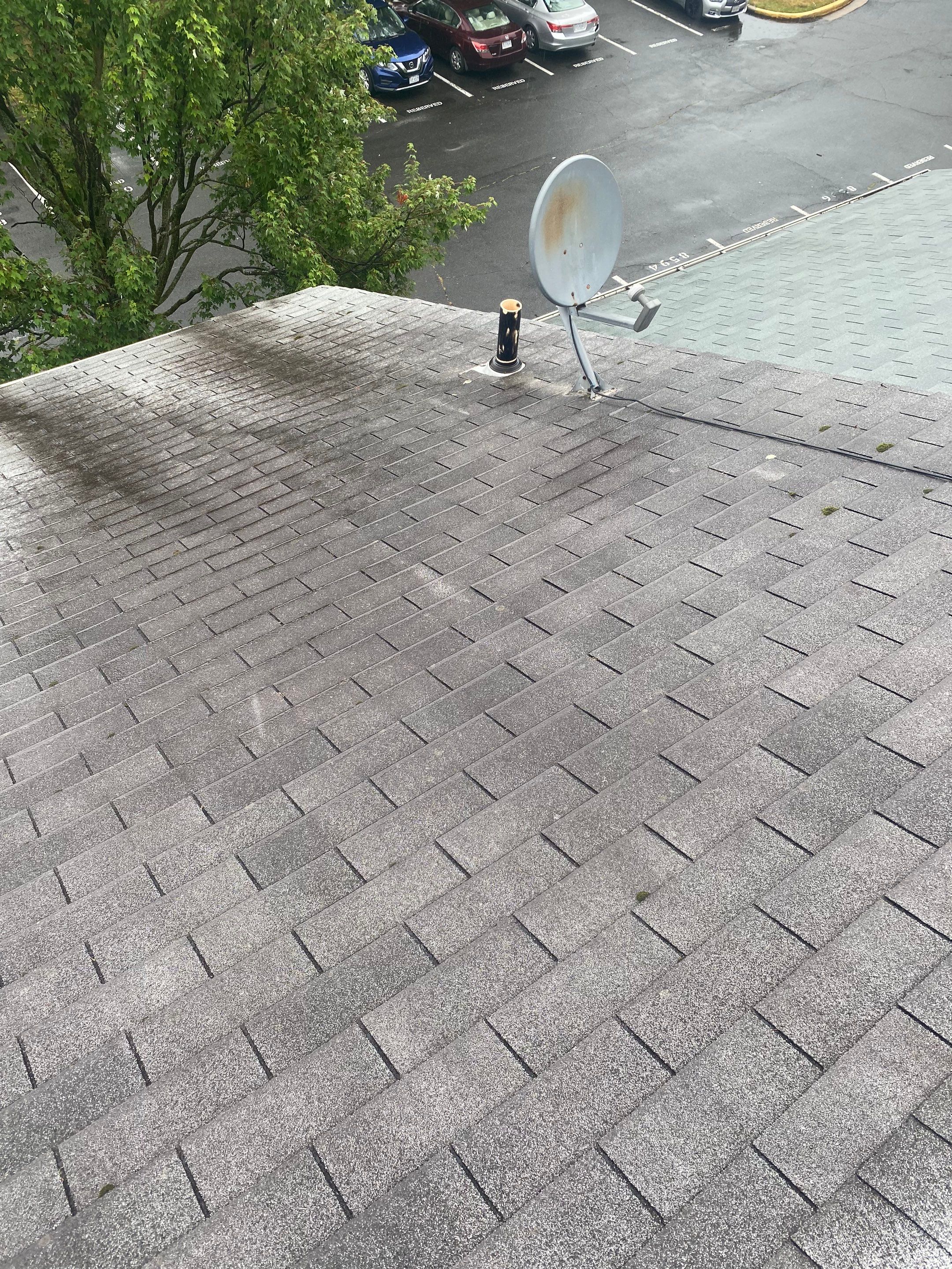 Manassas: Roof Replacement with CertainTeed Landmark Pro Designer Shingles in Max Def Cobblestone Gray by RM Banning, Inc.