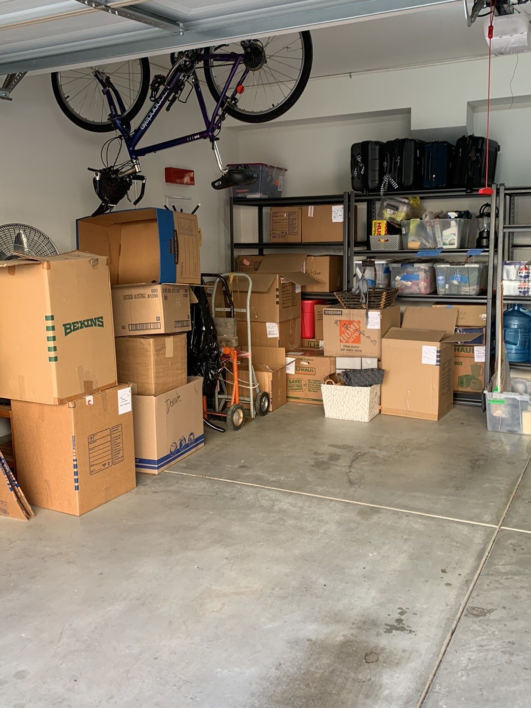 Senior downsize Ventura to San Diego by Curated Transitions