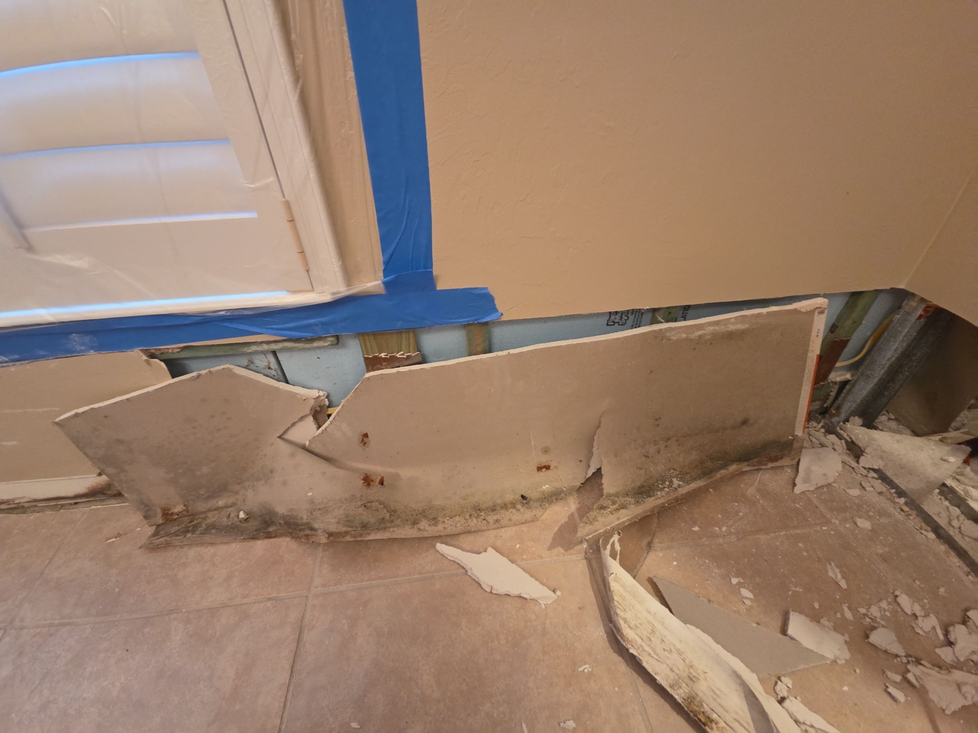 Fort Myers Water Damage Restoration and Professional Mold Remediation by Microscope