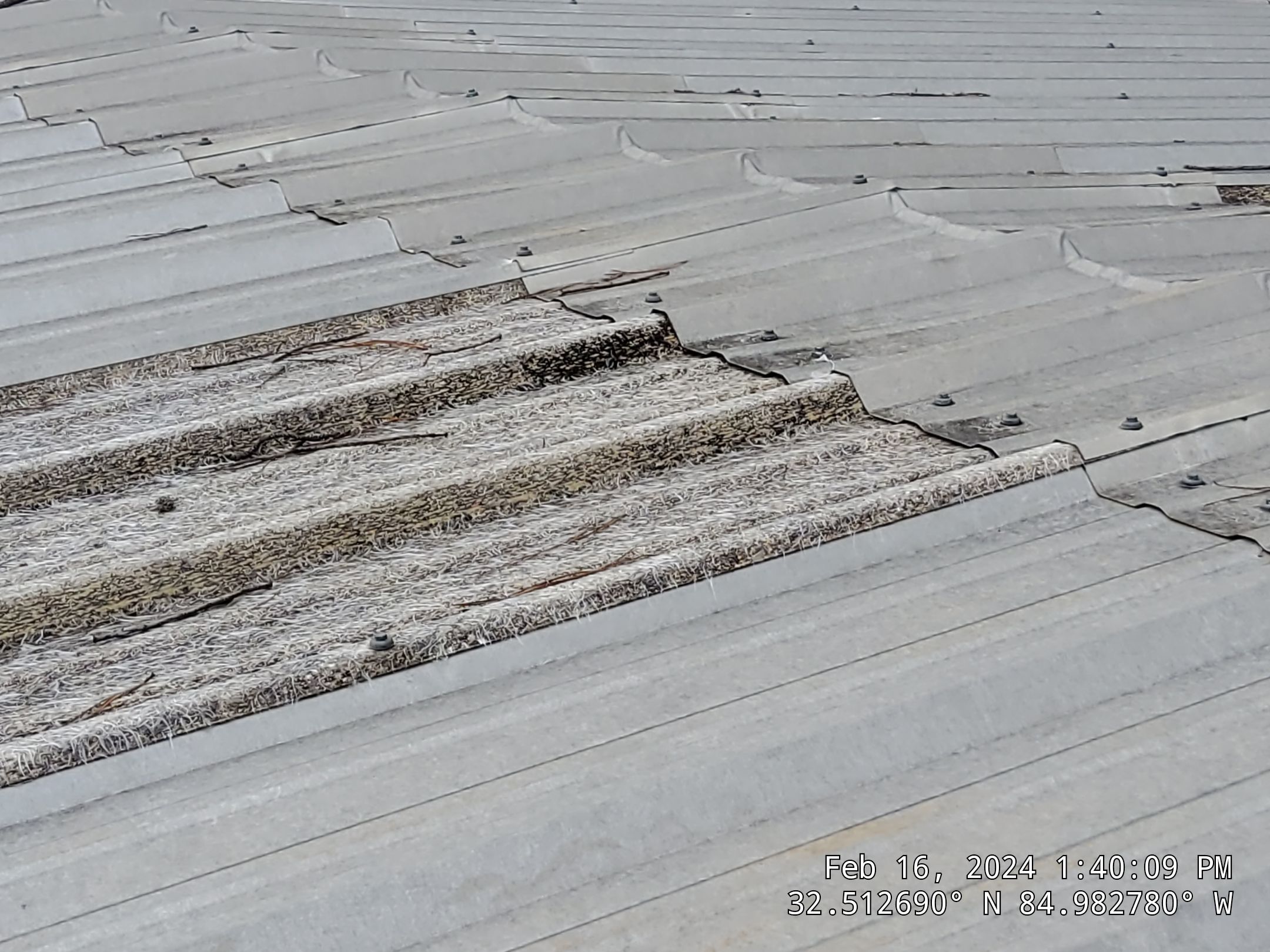 Master Clean Roof and Gutter Cleaning by iGreen Solutions