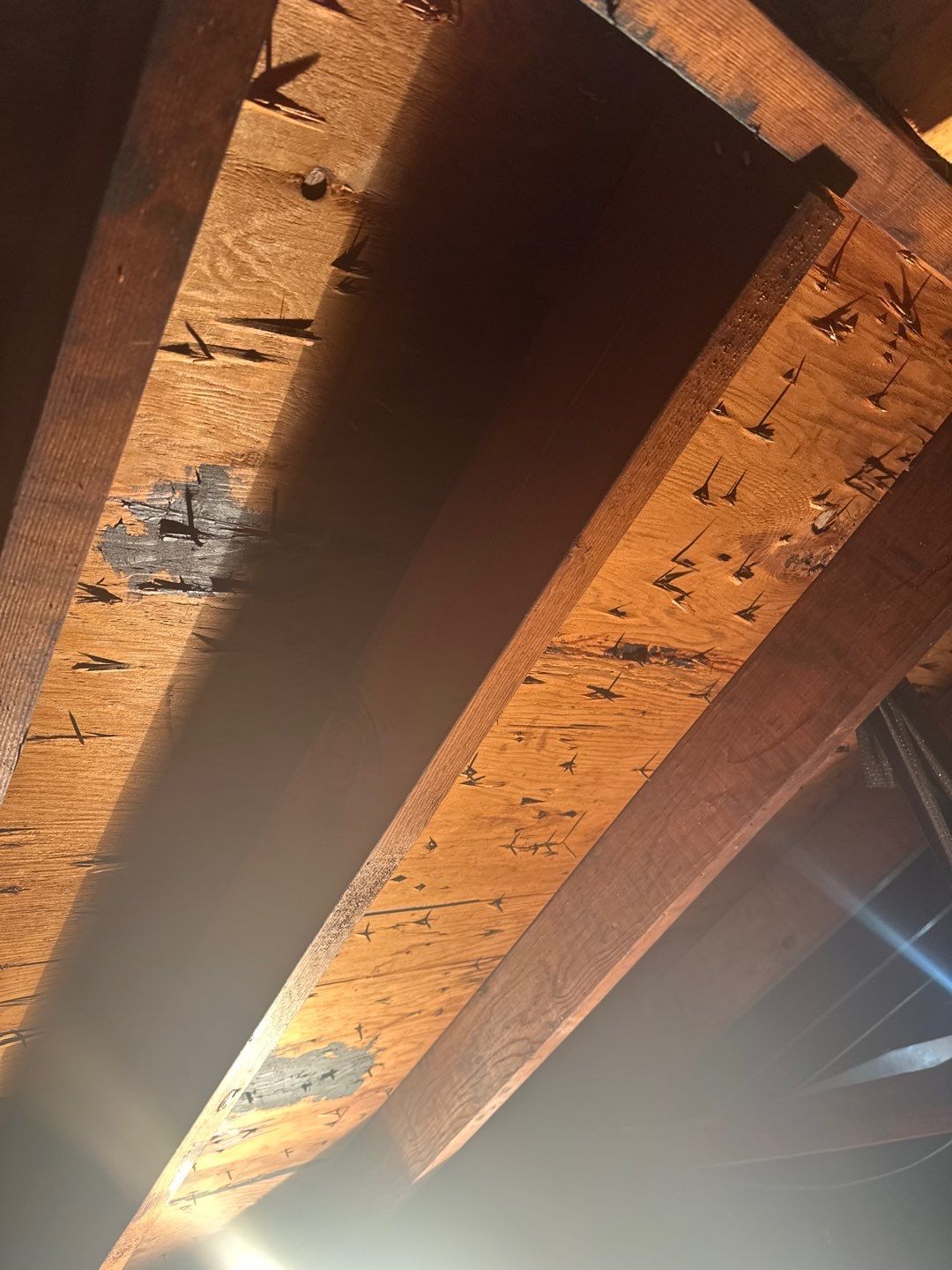 Residential Roofing Repair using Owen's Corning Duration (Lifetime) Shingles by Roof Repair Company