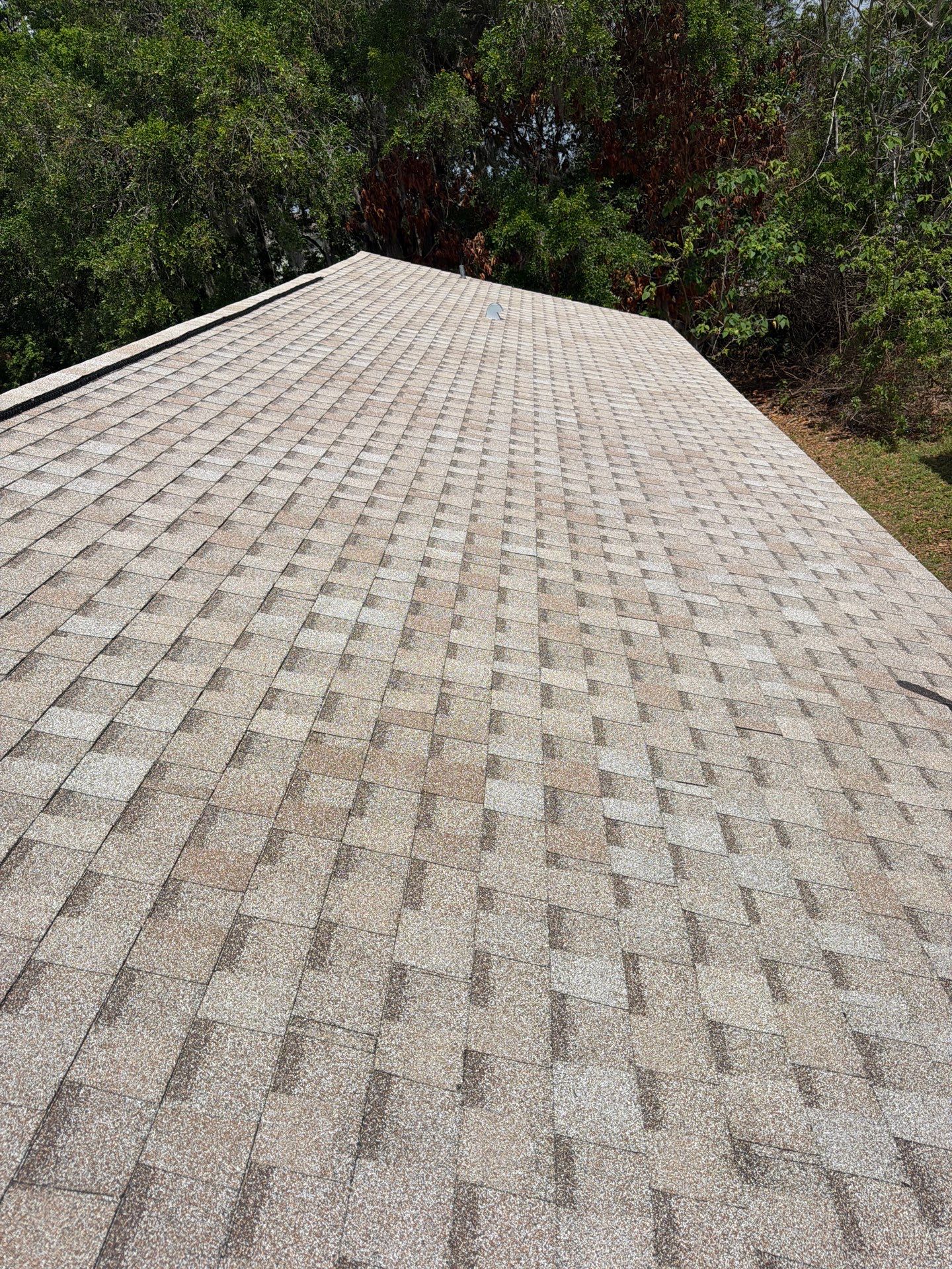 Shingle Reroof Replacement Sanford FL by Pinnacle Roofing Group