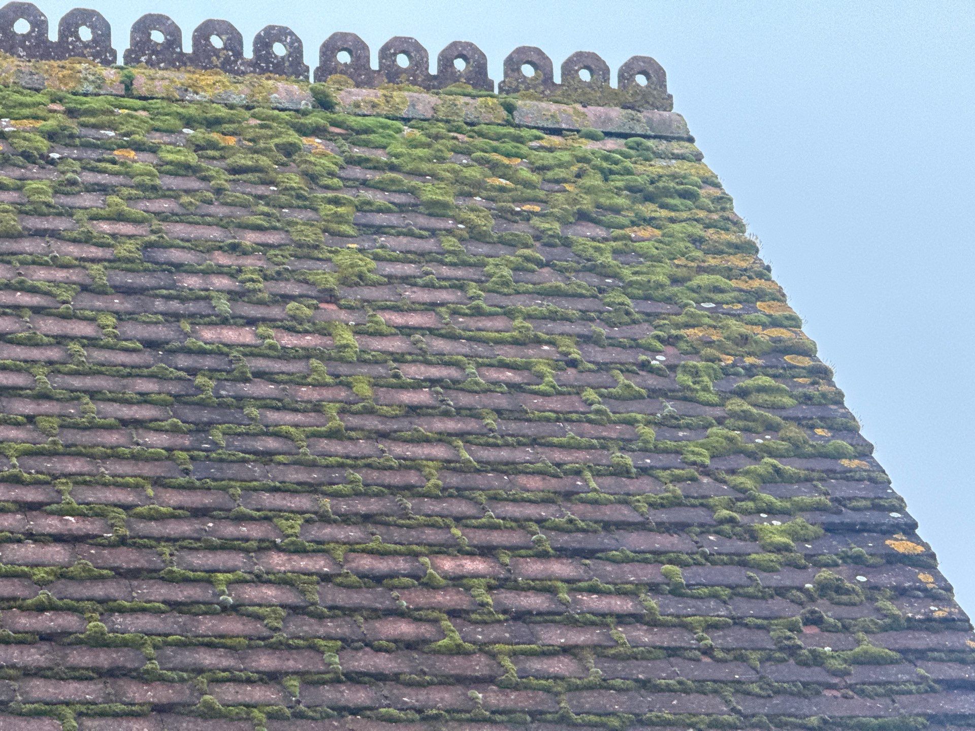 Roof And Render Clean by Ges Exterior Cleaning ltd