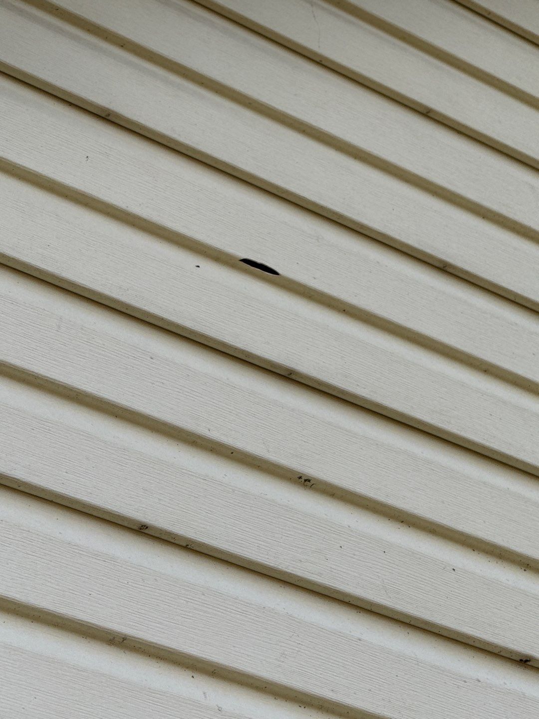 Jonathon Salmons Hail & Tree Damage Report by Constructive Project Management