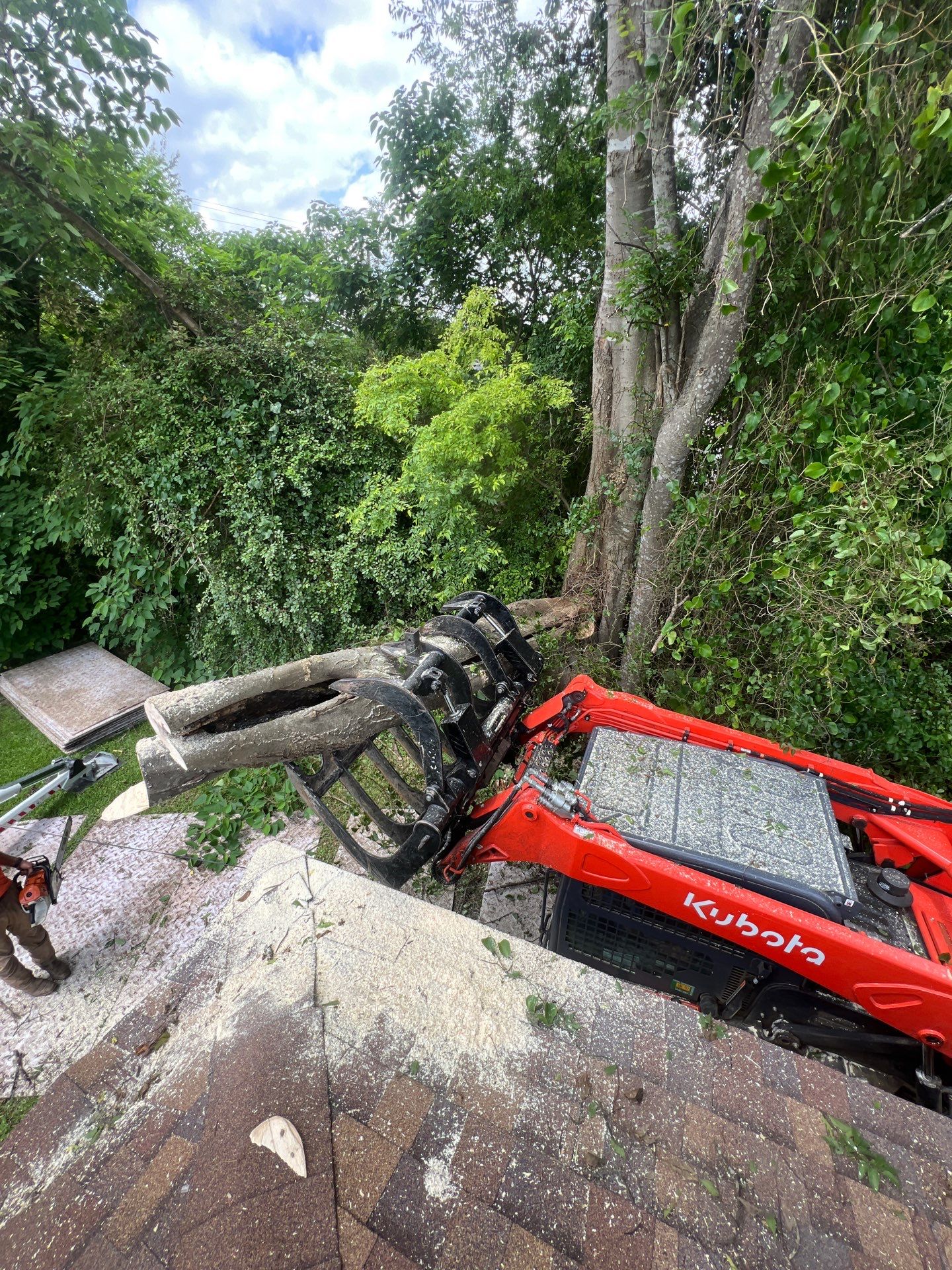 Crane-Assisted Emergency Removal by American Arbor