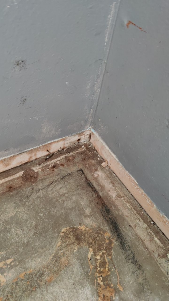 Mold Remediation by Accountable Home Services