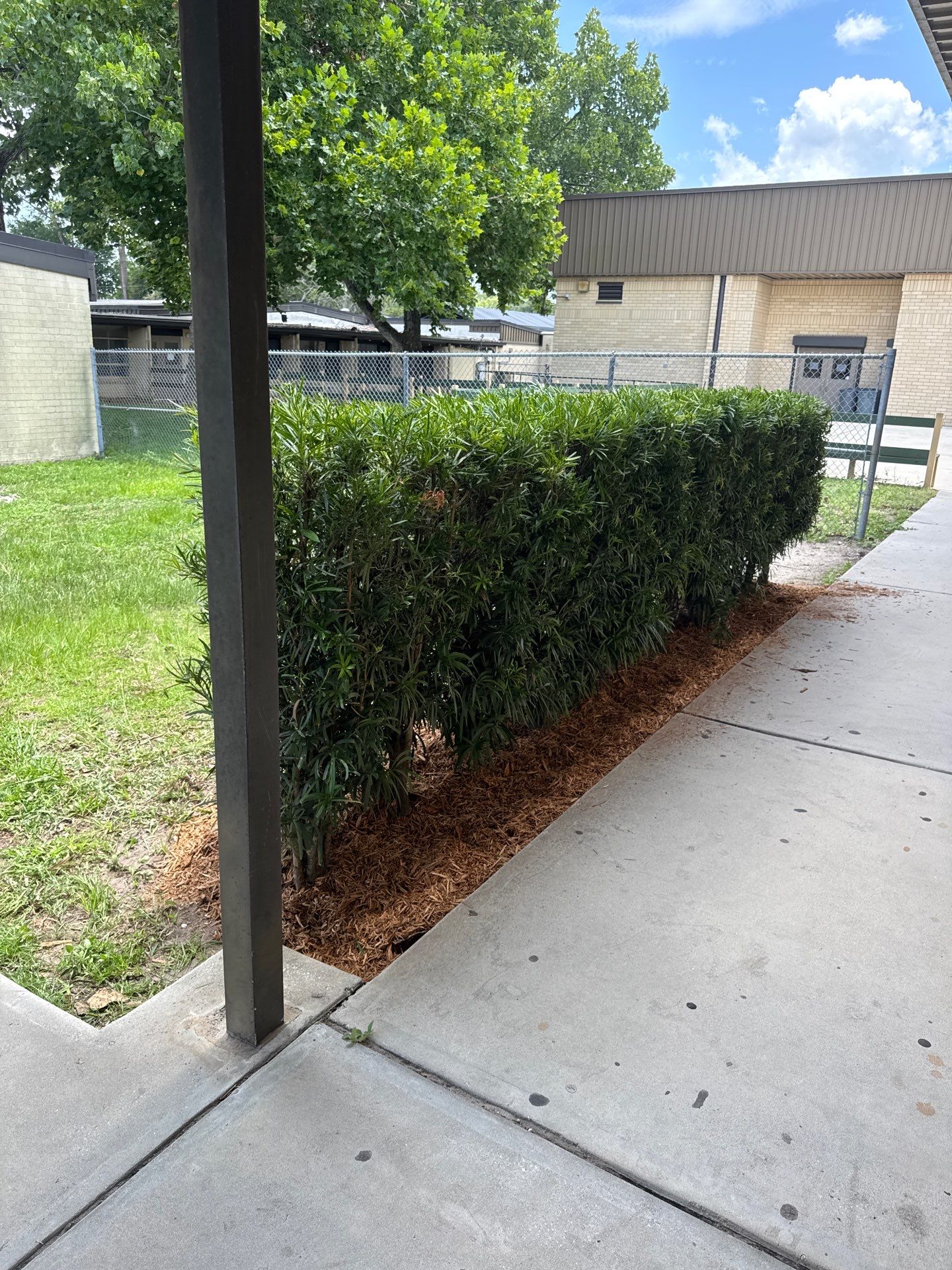 Green Cove Springs Junior High School | Landscape Refresh by ProGreen Services