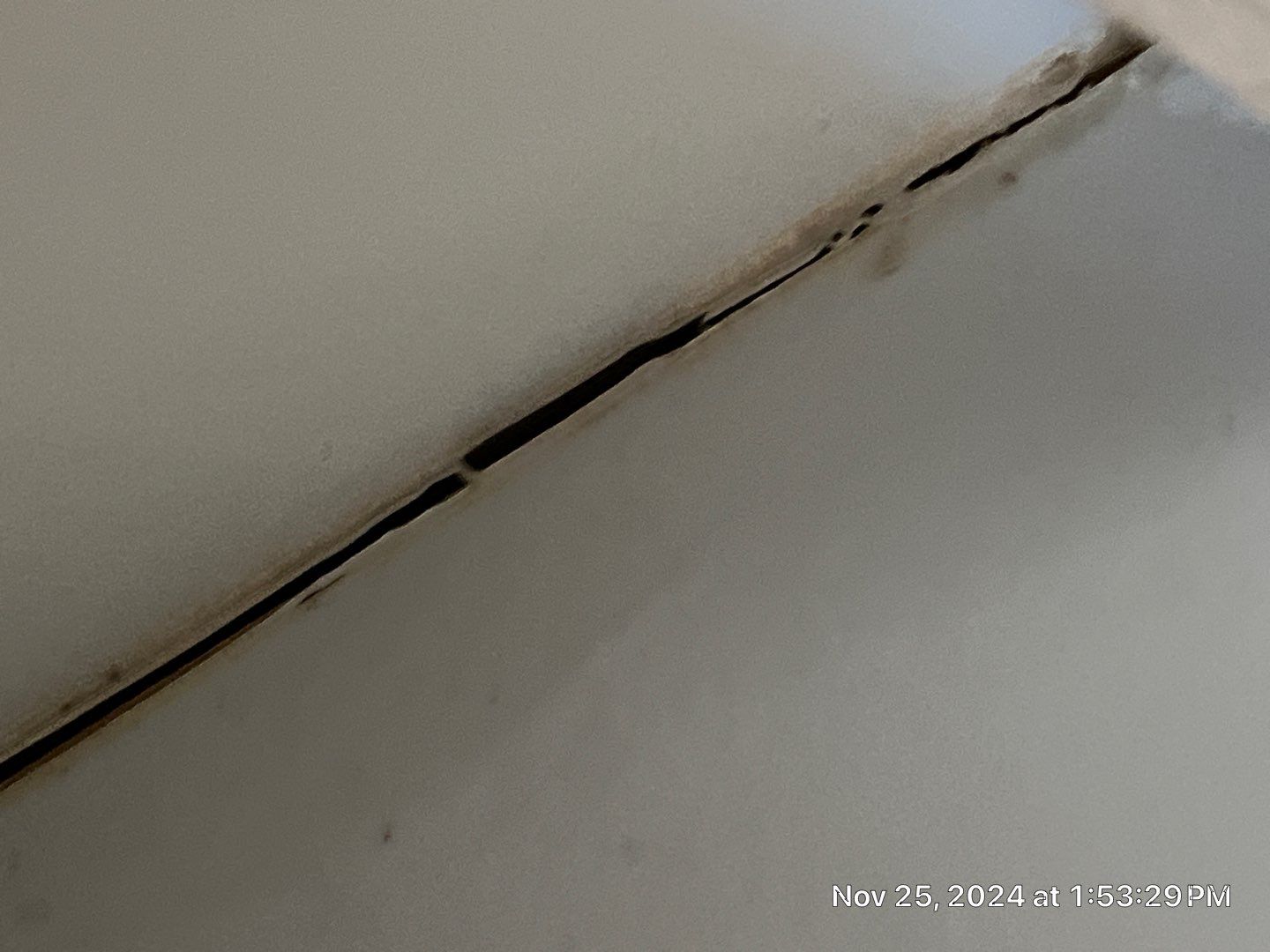 Mold Remediation Palmetto by Ampm Restoration Services 